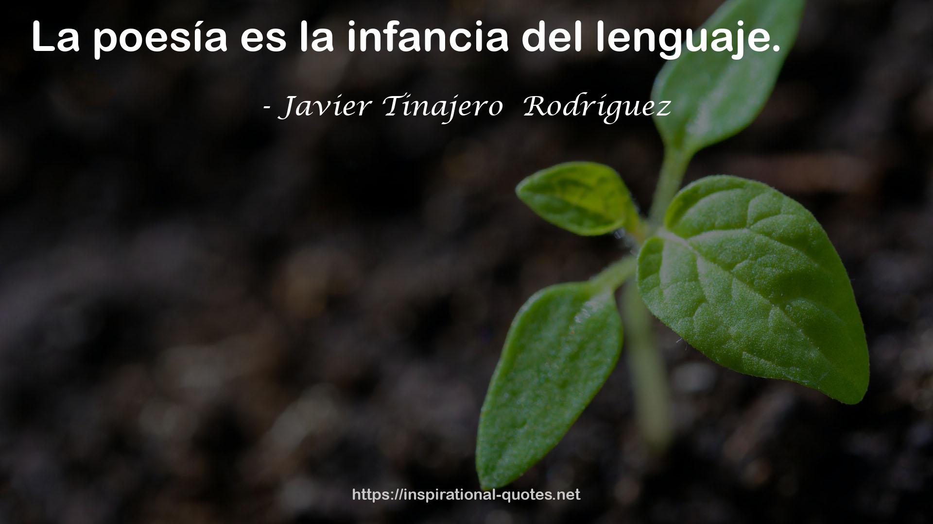 Javier Tinajero  Rodríguez QUOTES