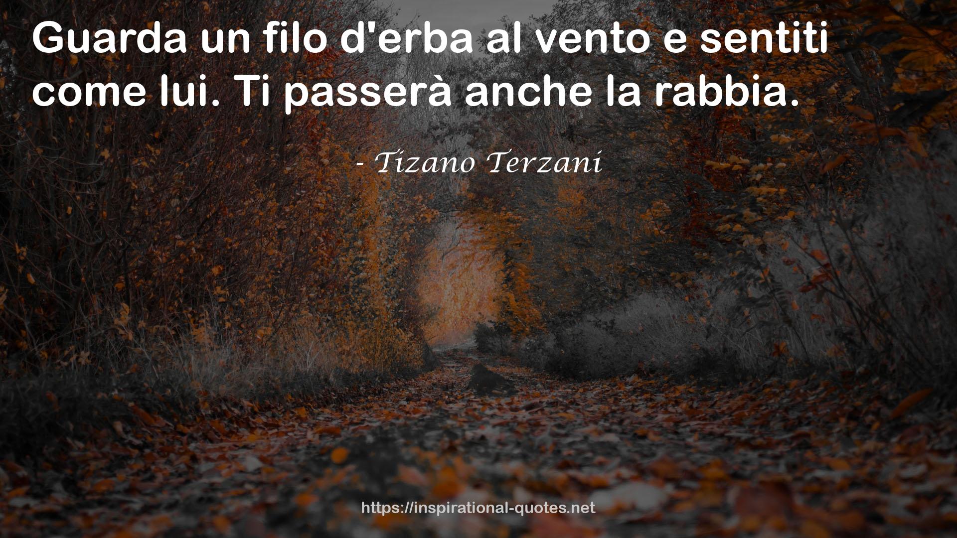 Tizano Terzani QUOTES