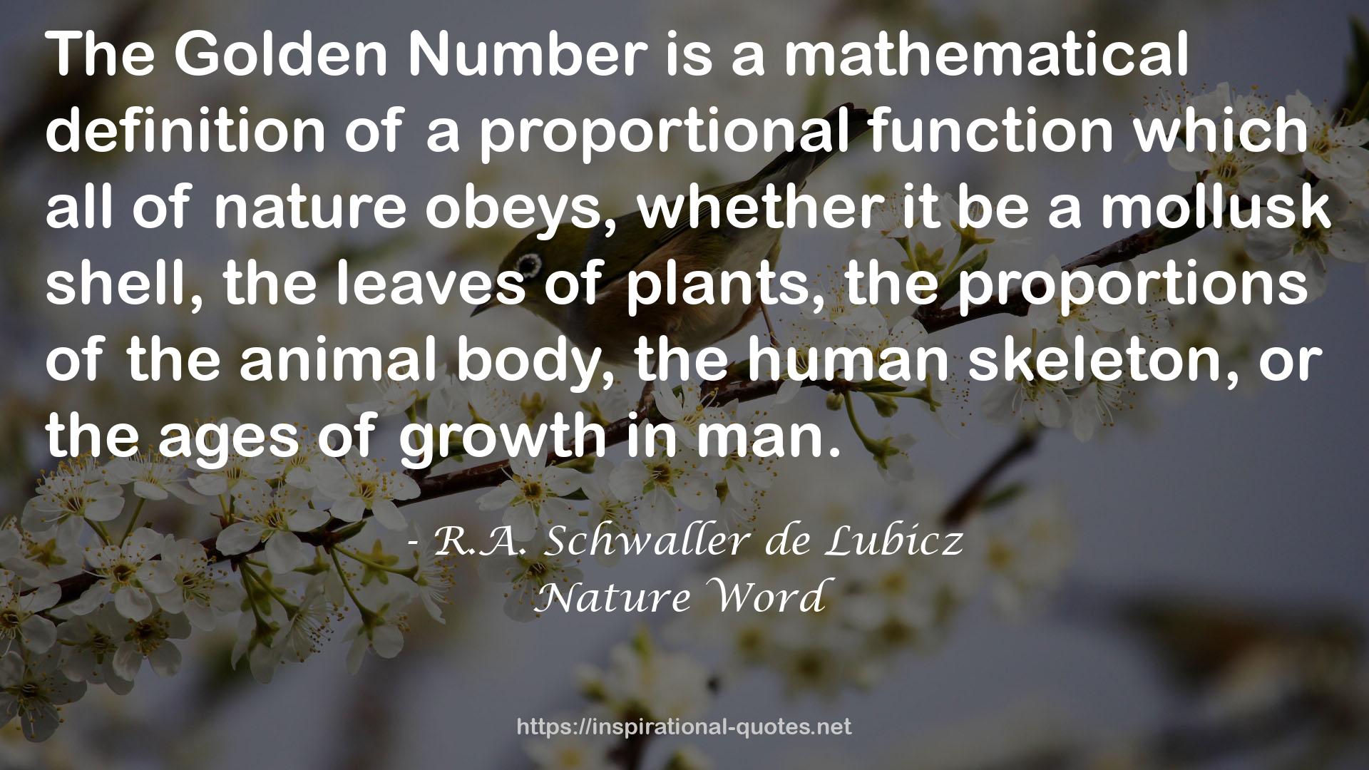 a mathematical definition  QUOTES
