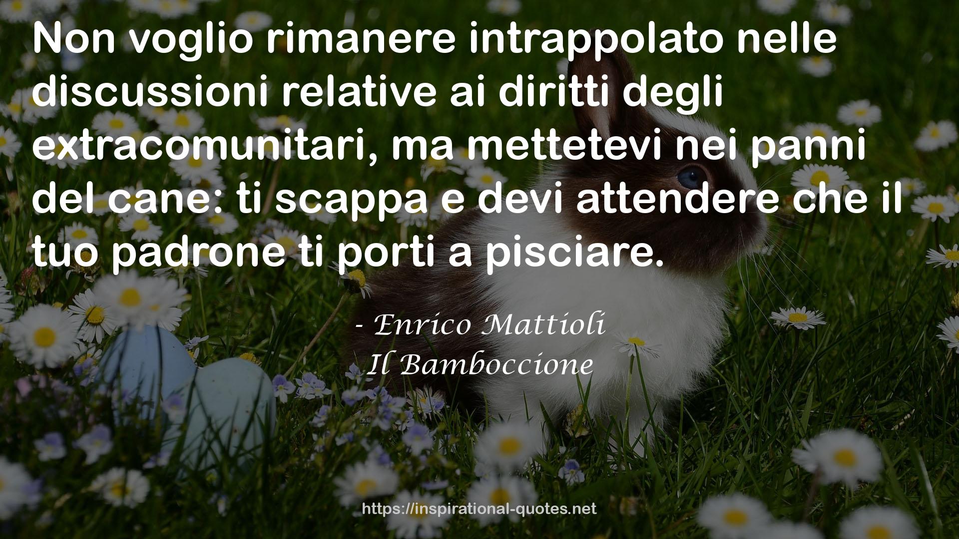 Enrico Mattioli QUOTES