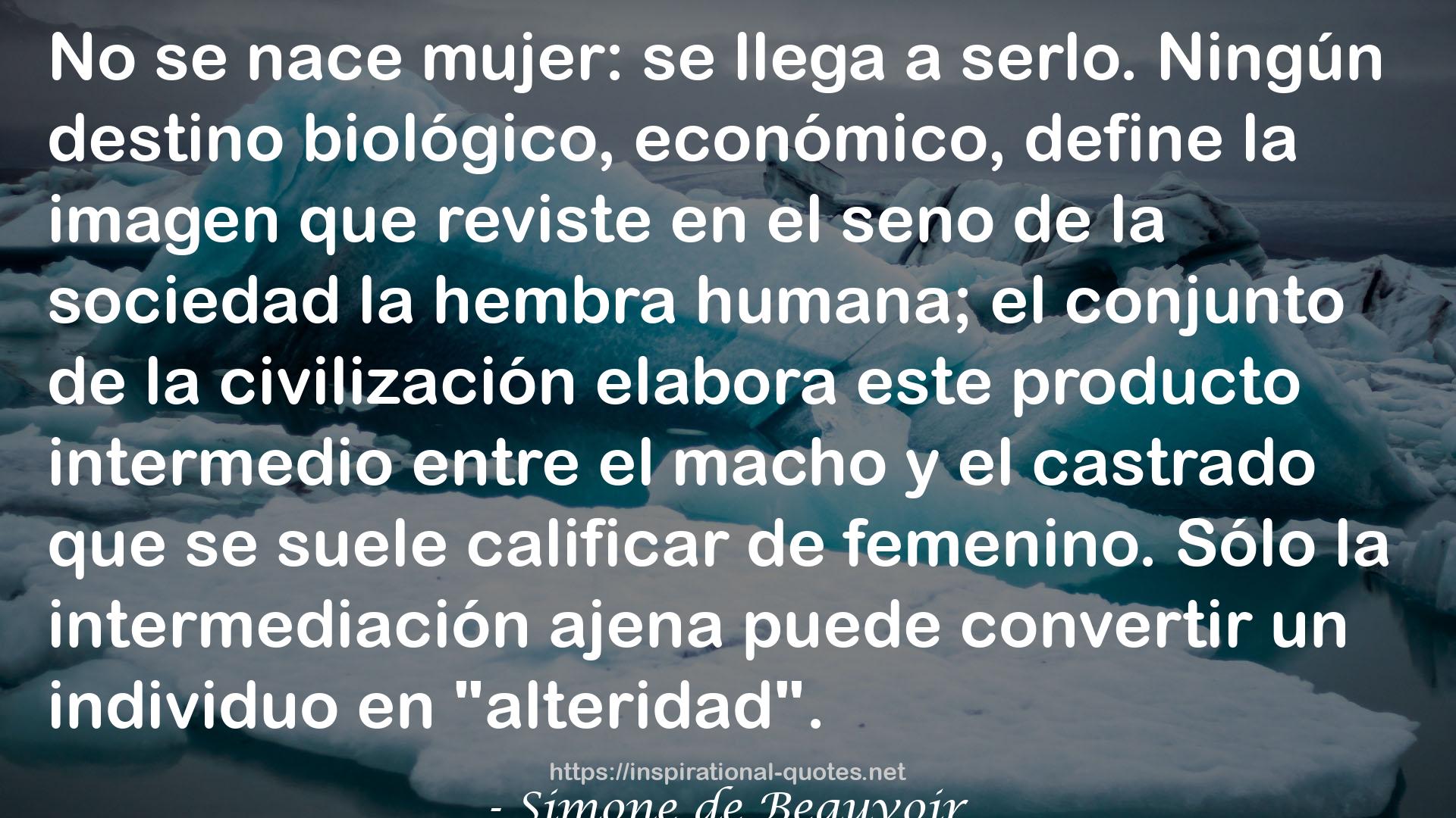 El segundo sexo. Lectura crítica de la Introducción y la Conclusión QUOTES