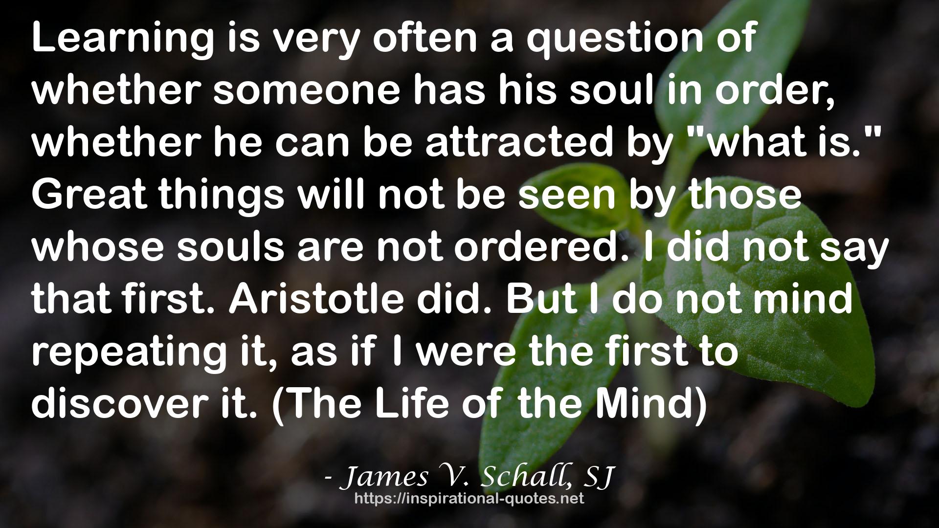 James V. Schall, SJ QUOTES