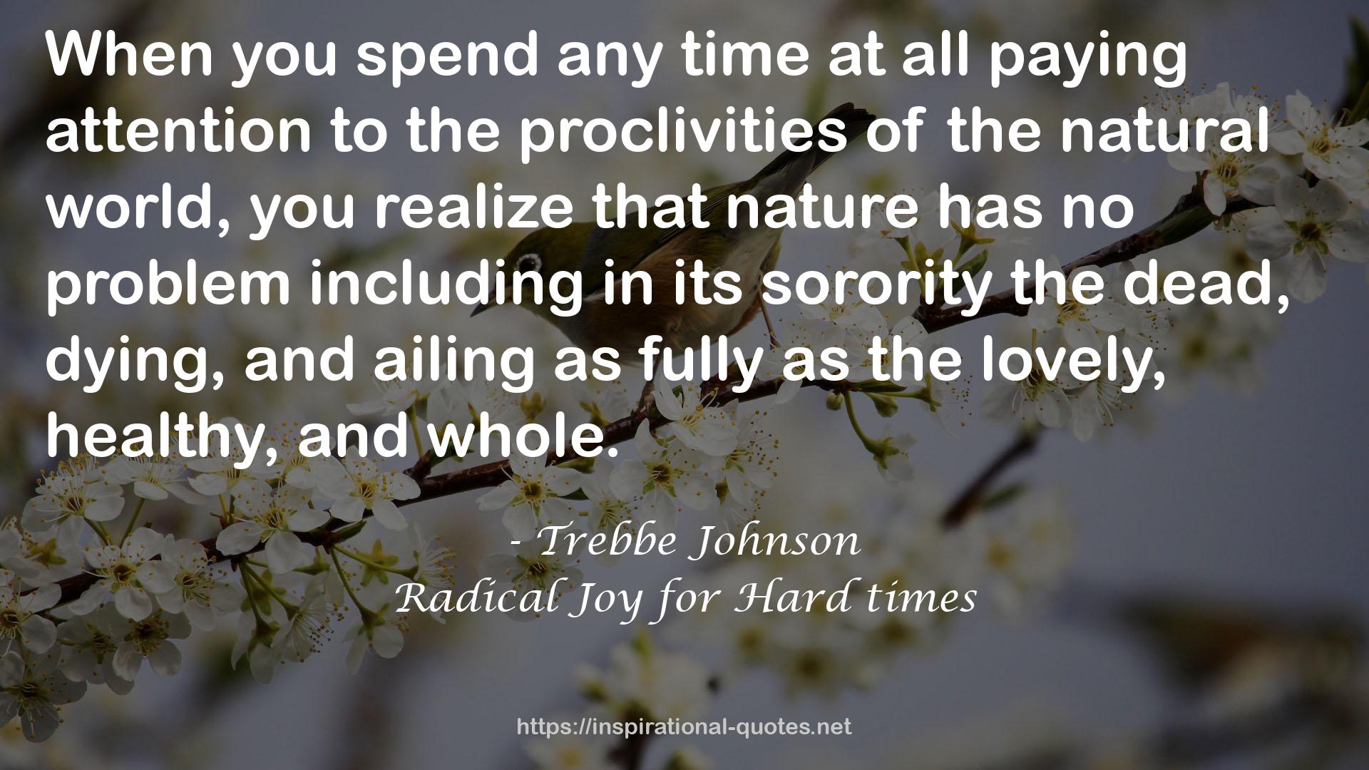 Radical Joy for Hard times QUOTES