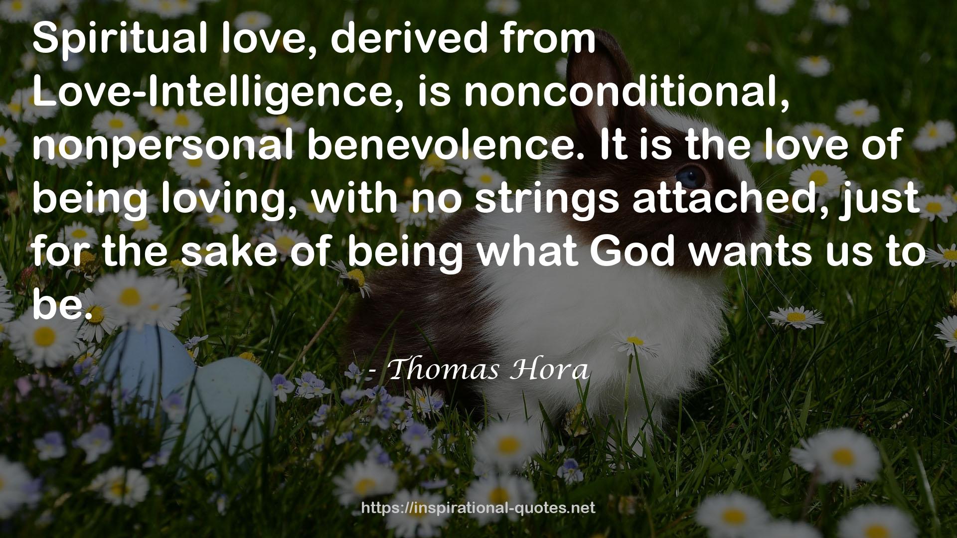 Thomas Hora QUOTES