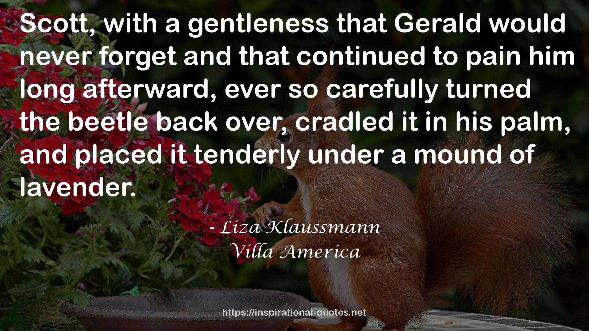 Liza Klaussmann QUOTES