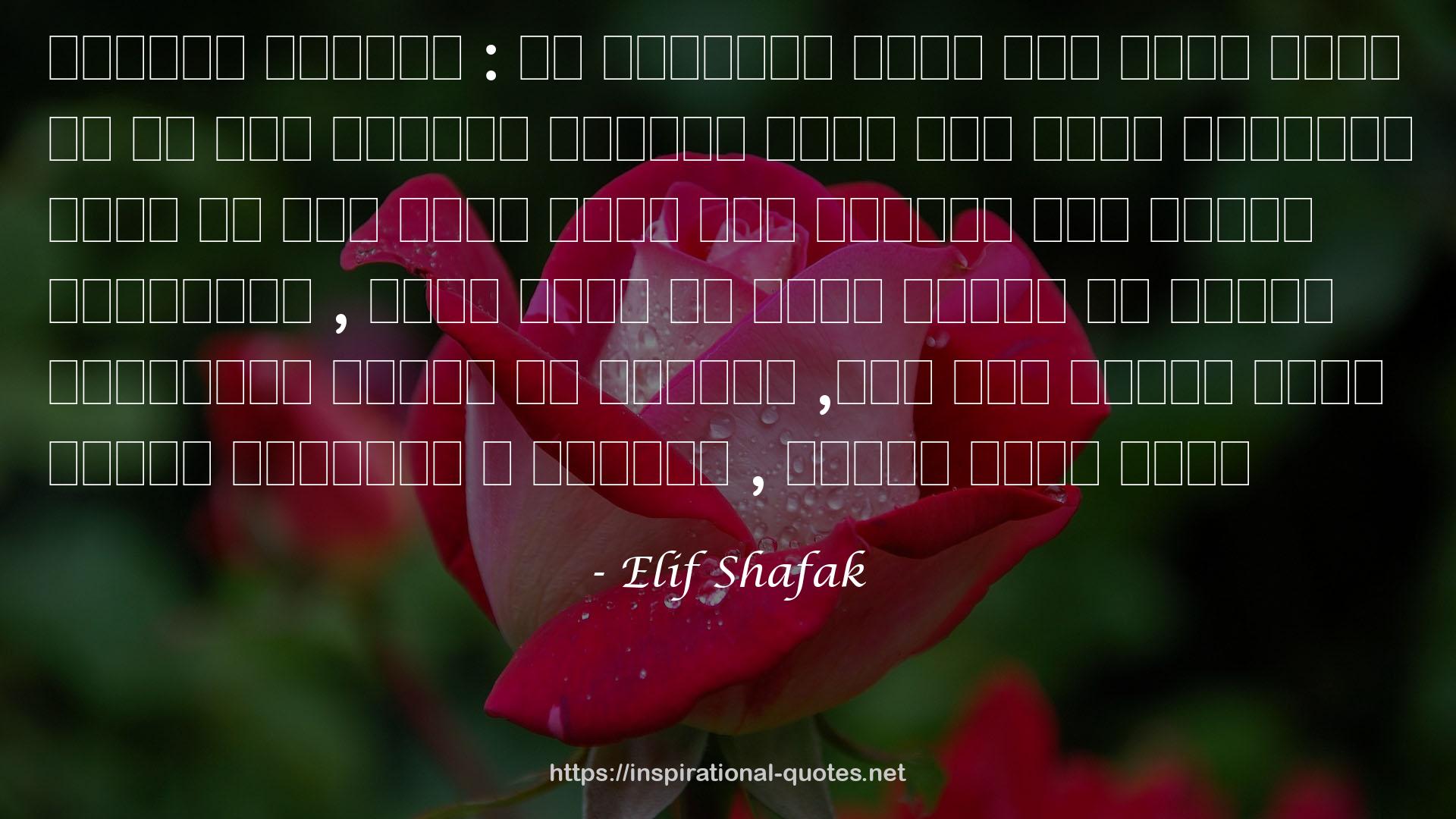 Elif Shafak QUOTES