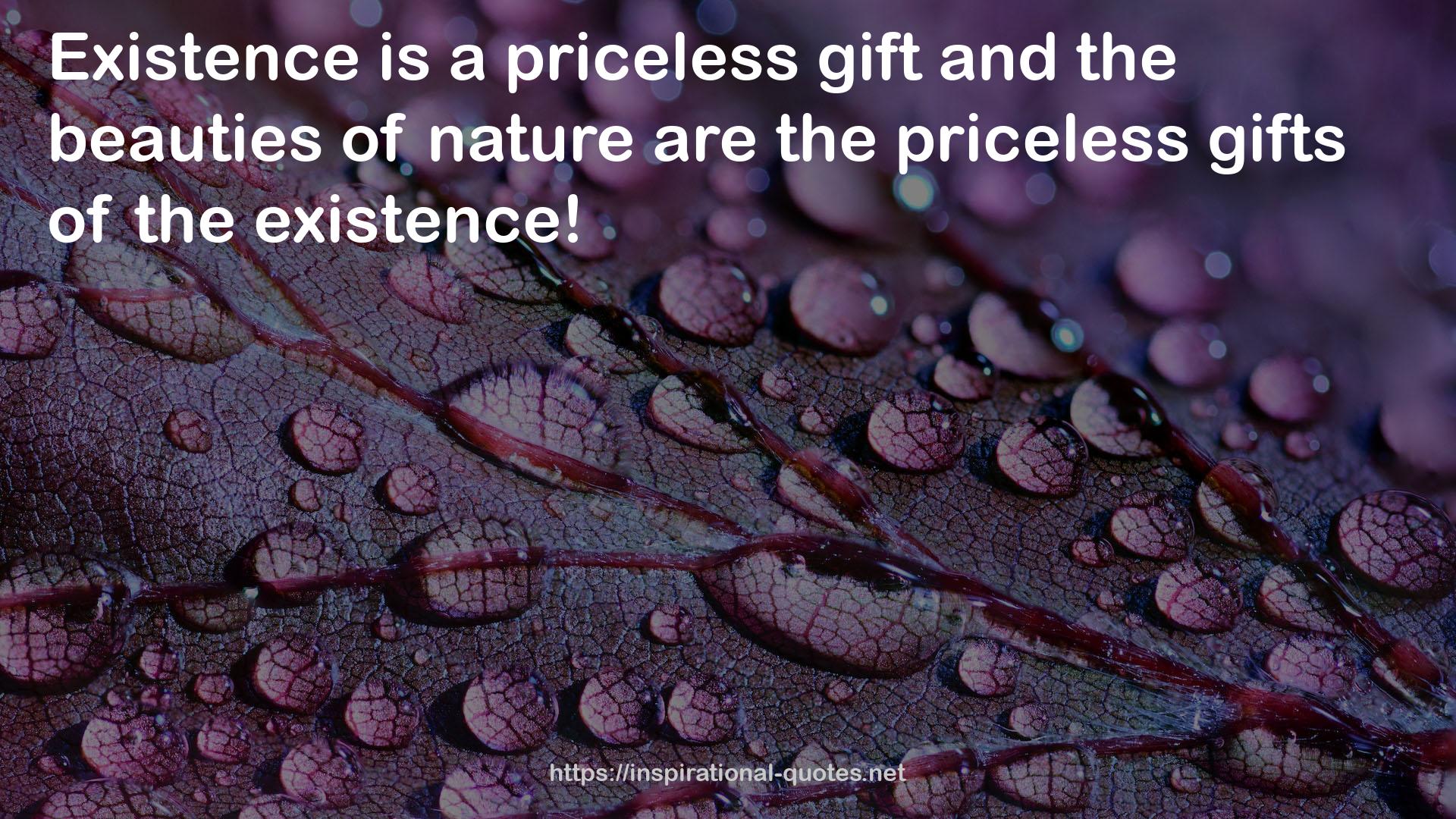 a priceless gift  QUOTES