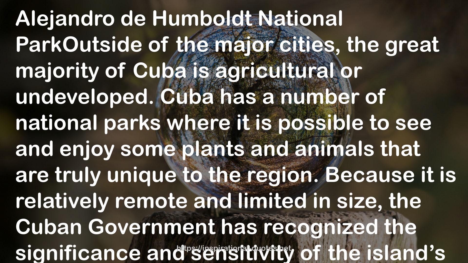 the Cuban Government  QUOTES