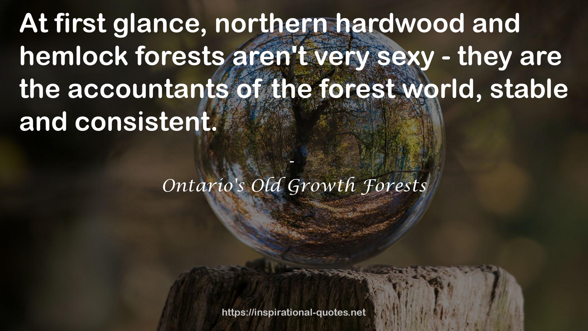 Ontario's Old Growth Forests QUOTES