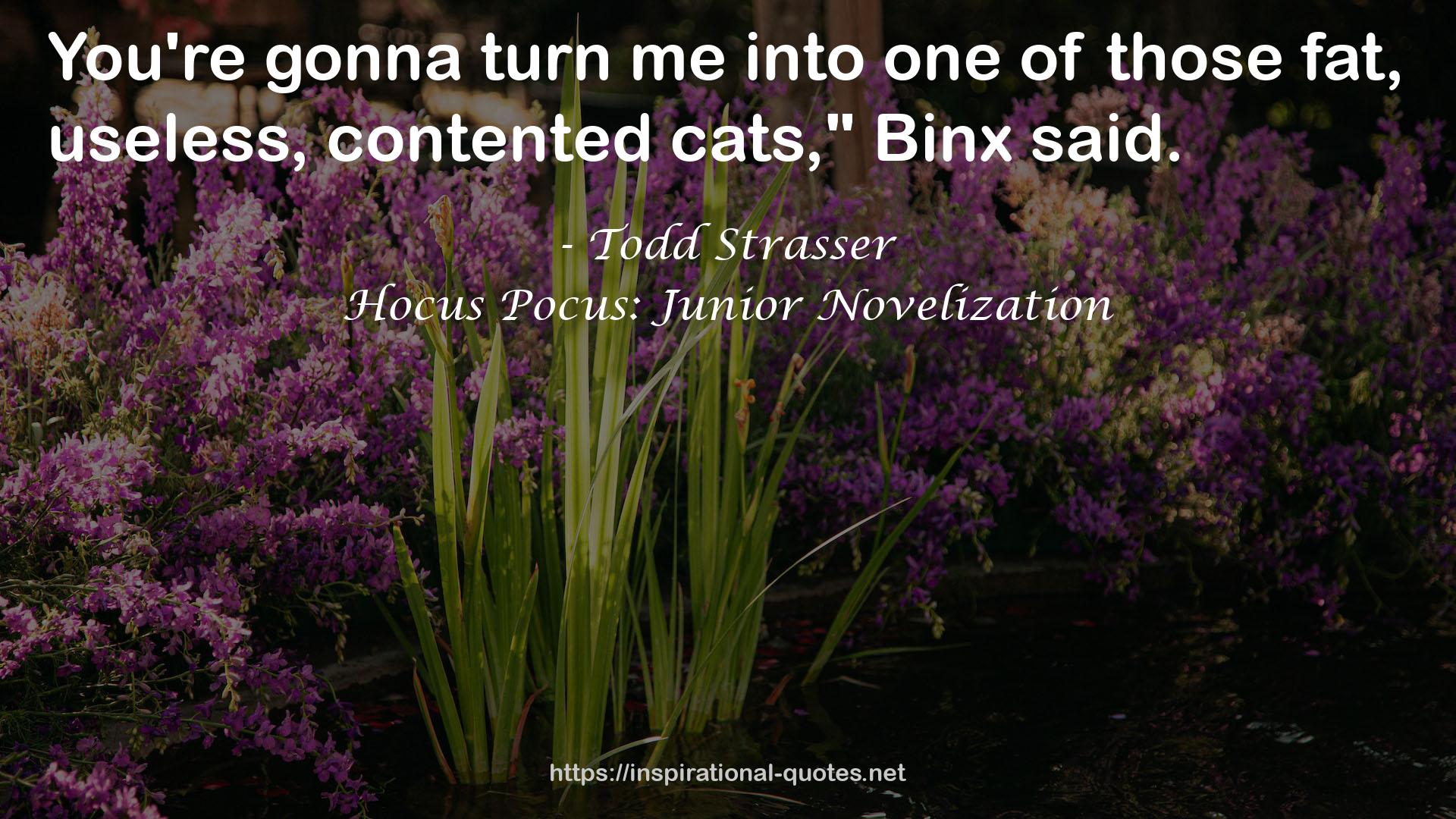 Hocus Pocus: Junior Novelization QUOTES