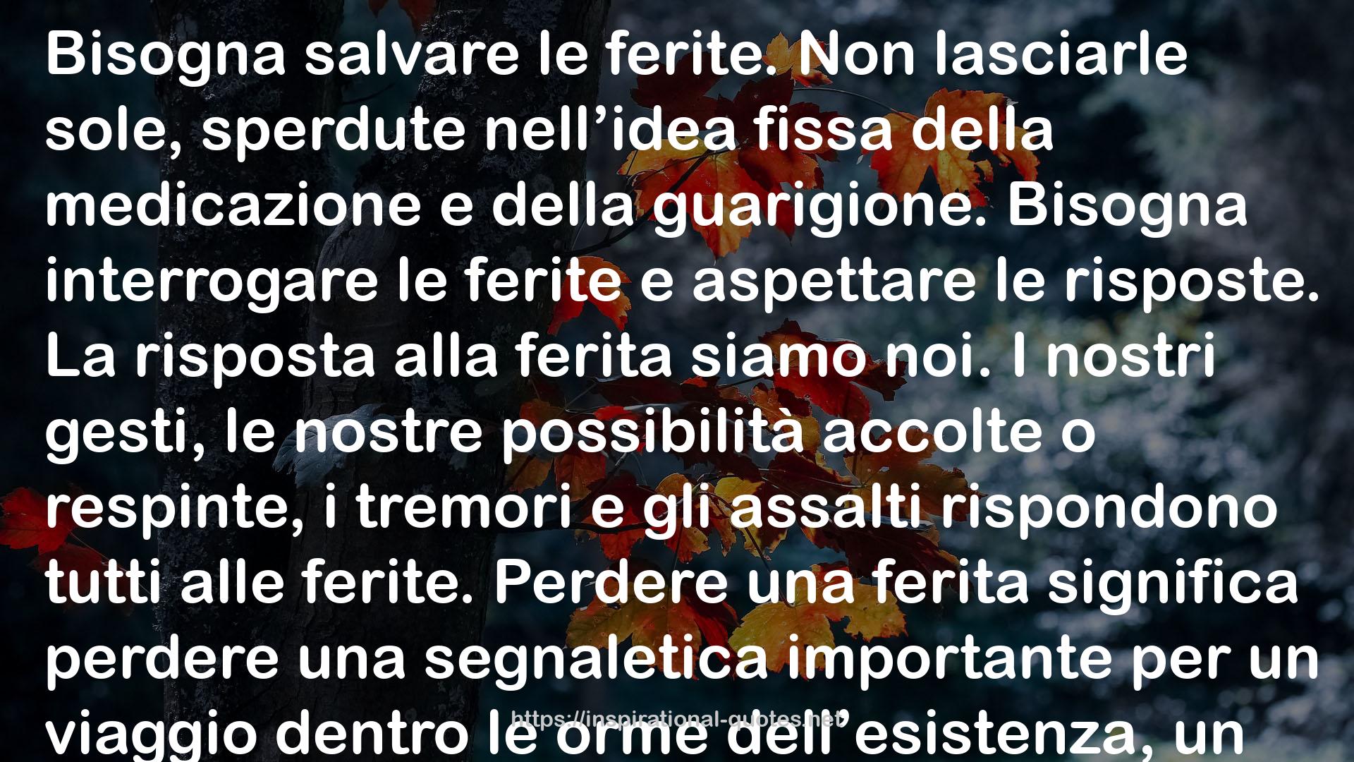 Questo immenso non sapere: Conversazioni con alberi, animali e il cuore umano QUOTES