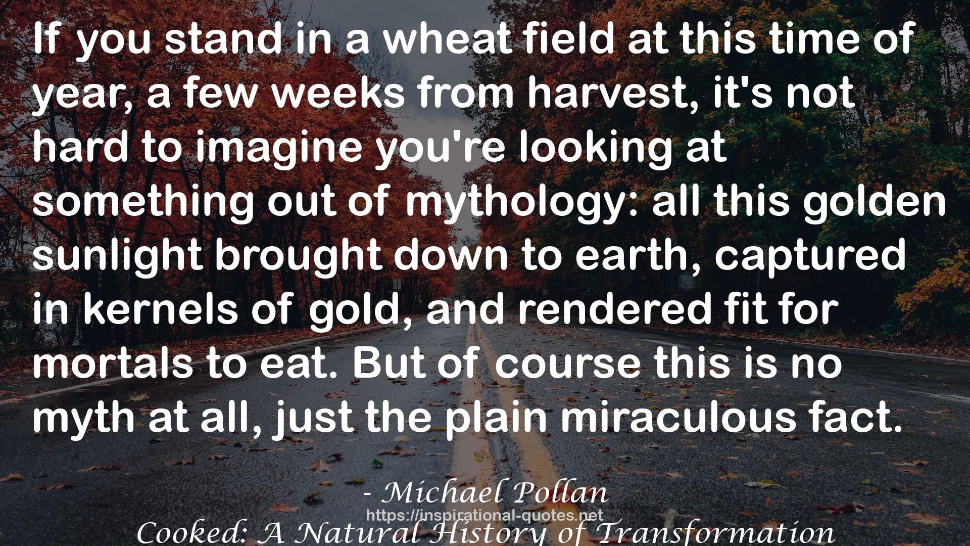 a wheat field  QUOTES