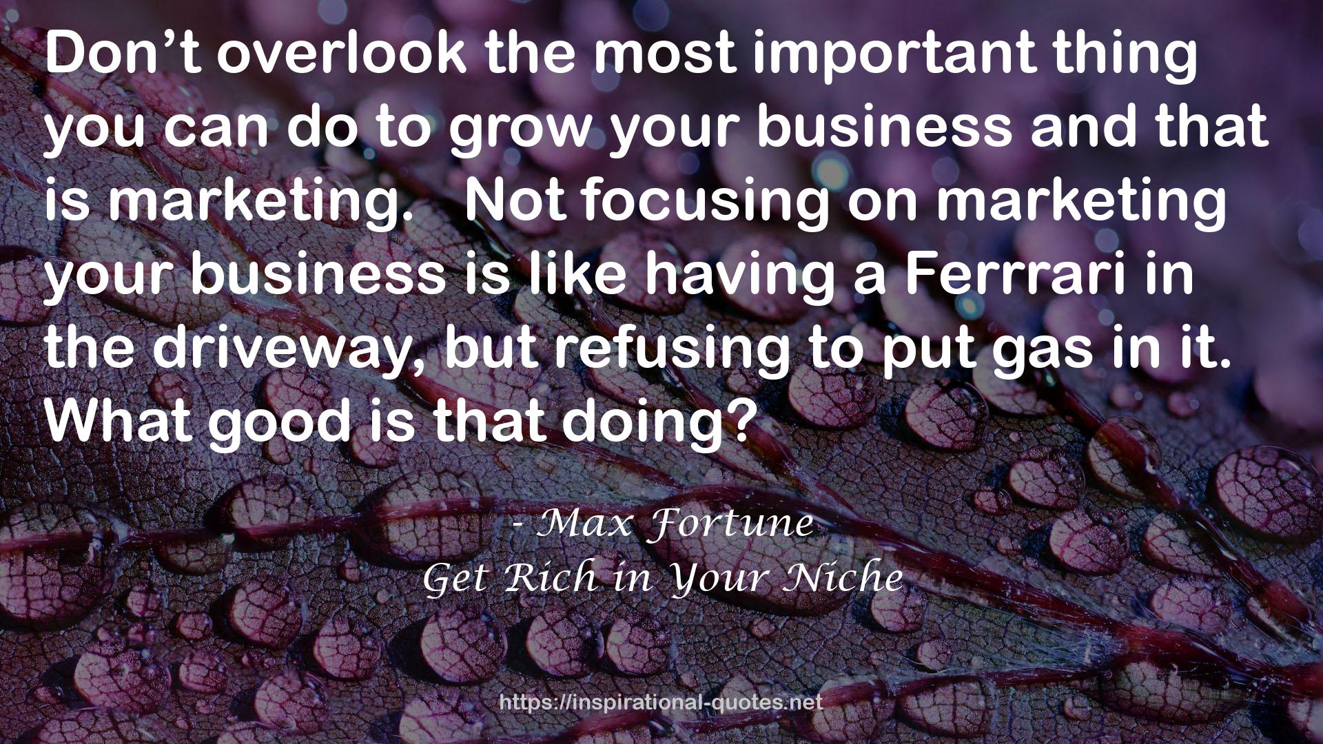 Get Rich in Your Niche QUOTES