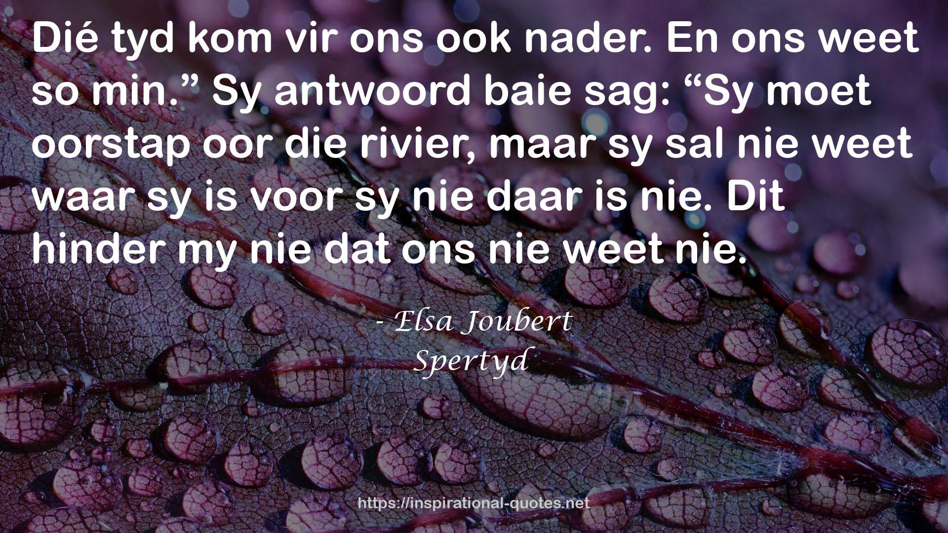 Elsa Joubert QUOTES