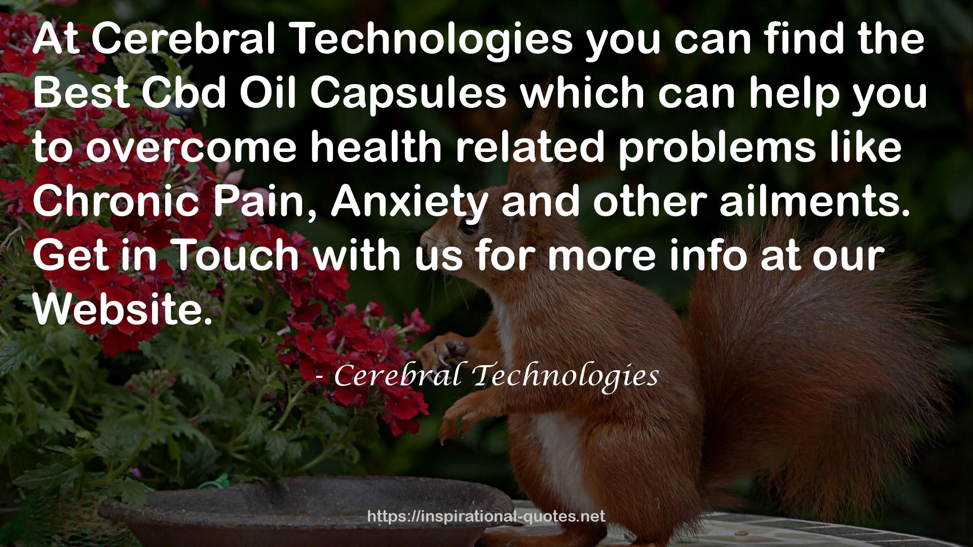 Cerebral Technologies QUOTES