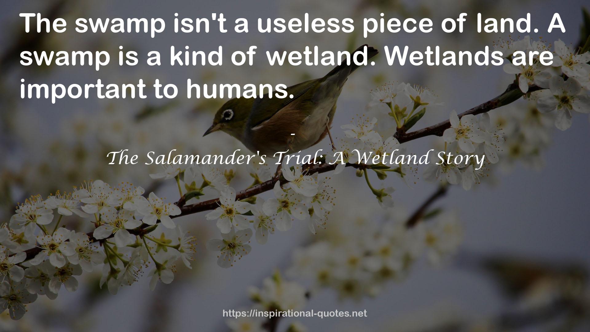 The Salamander's Trial: A Wetland Story QUOTES