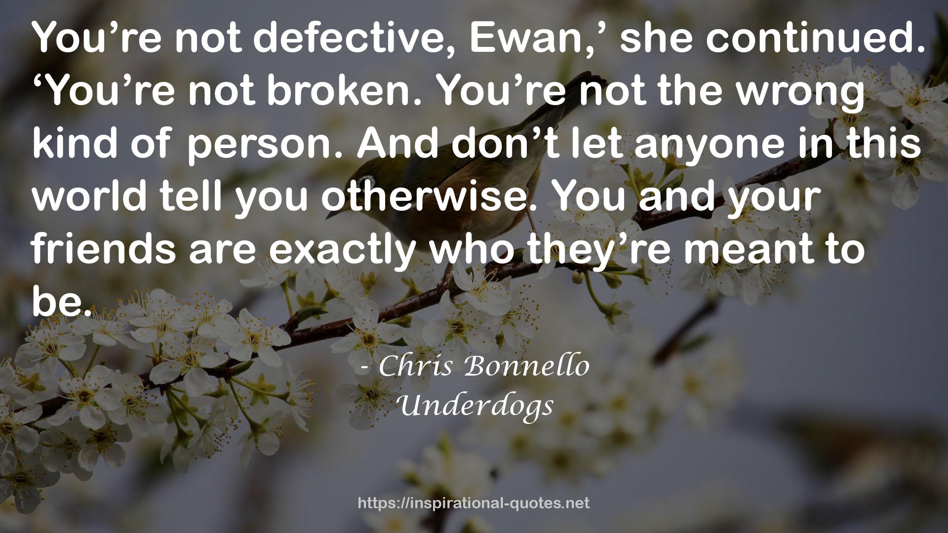 Chris Bonnello QUOTES