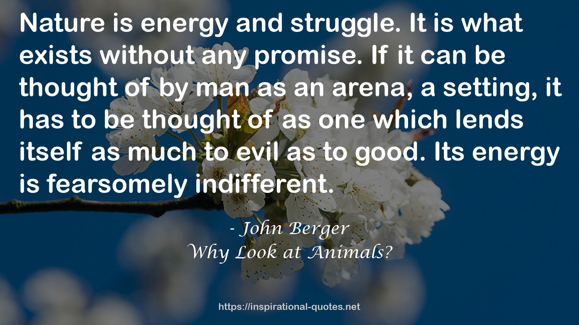 Why Look at Animals? QUOTES