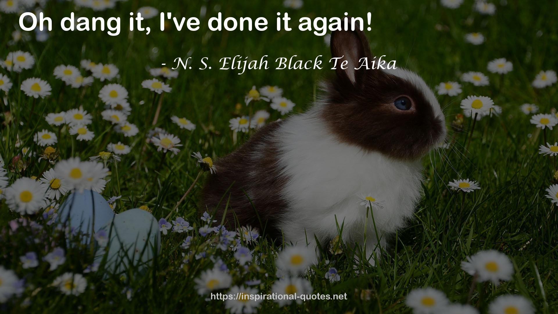 N. S. Elijah Black Te Aika QUOTES