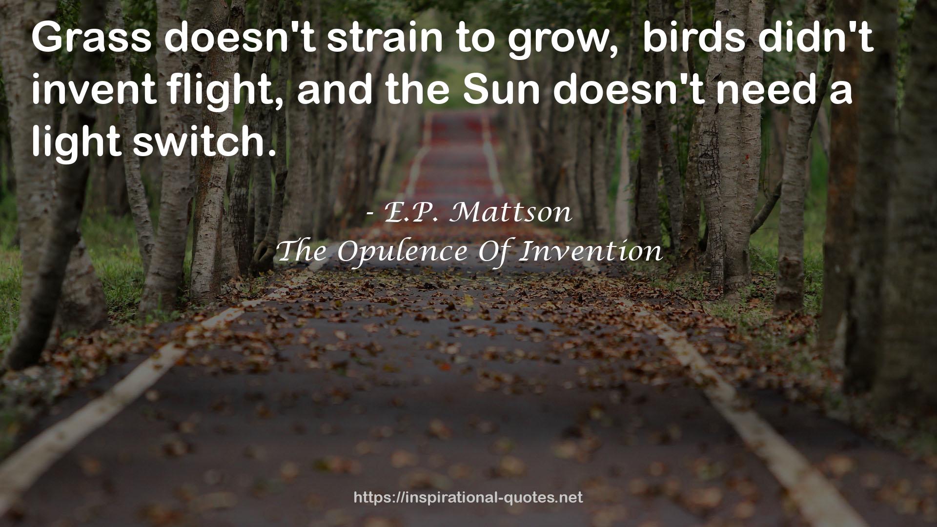 The Opulence Of Invention QUOTES