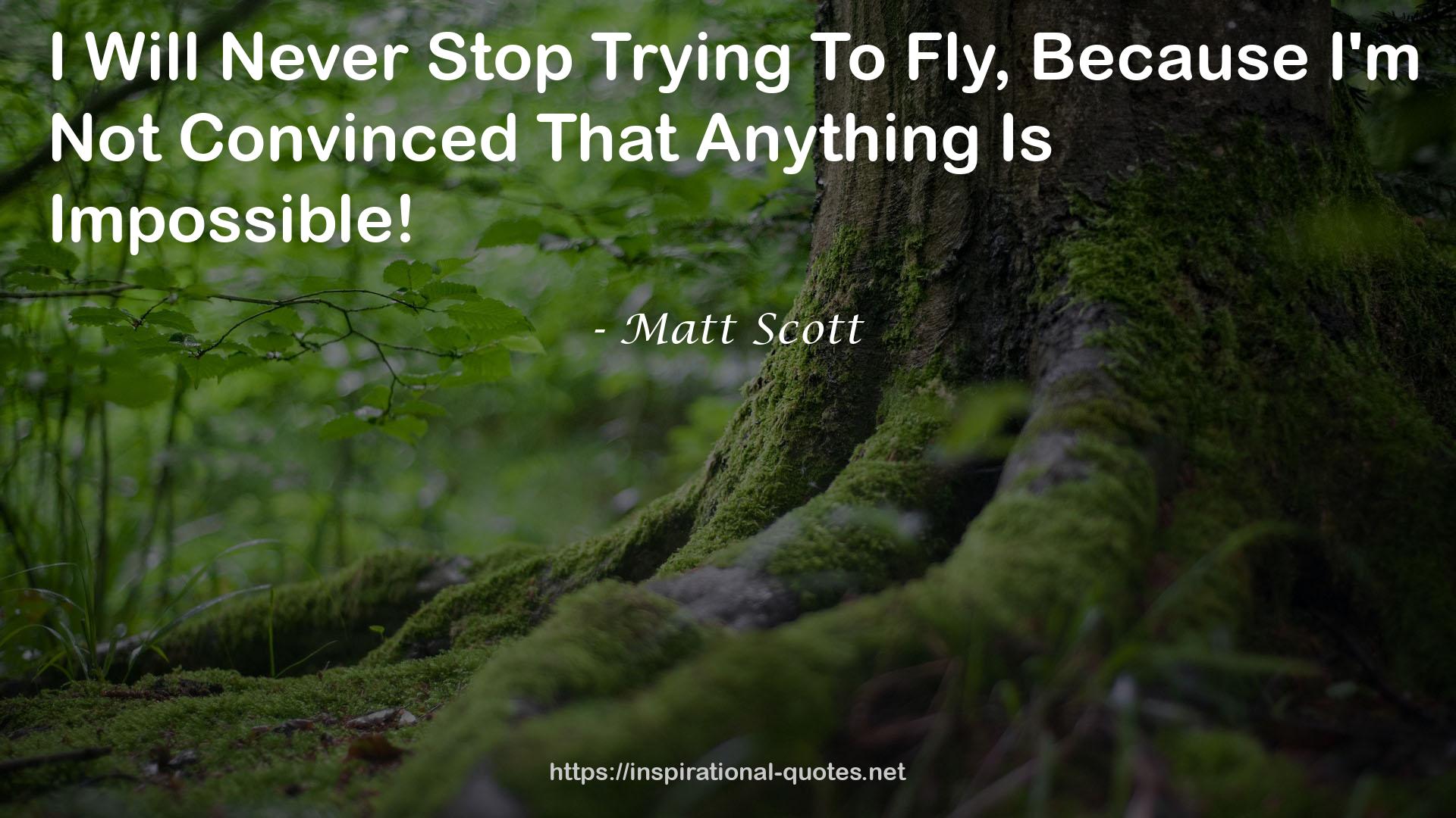 Matt Scott QUOTES