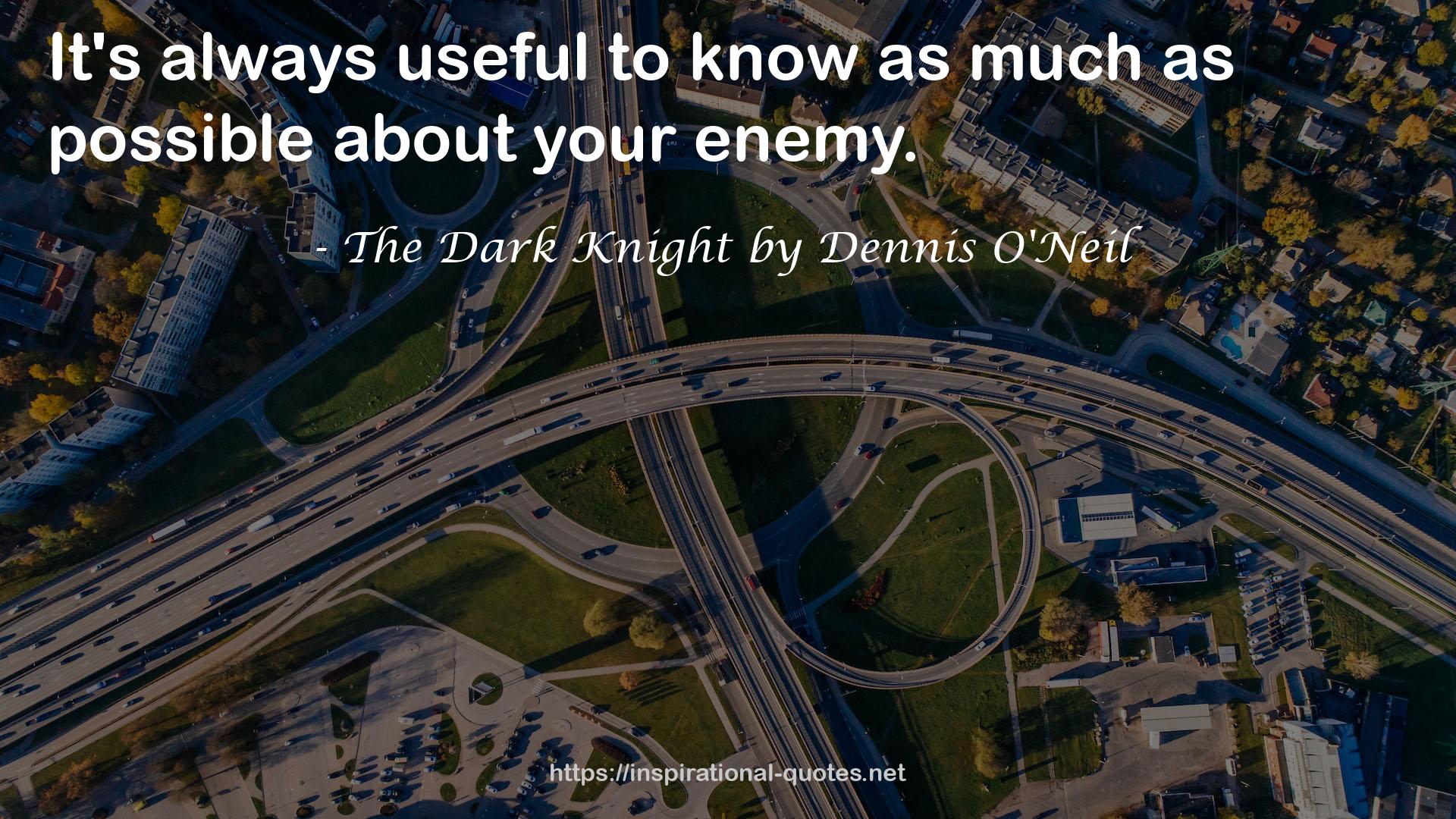 The Dark Knight by Dennis O'Neil QUOTES