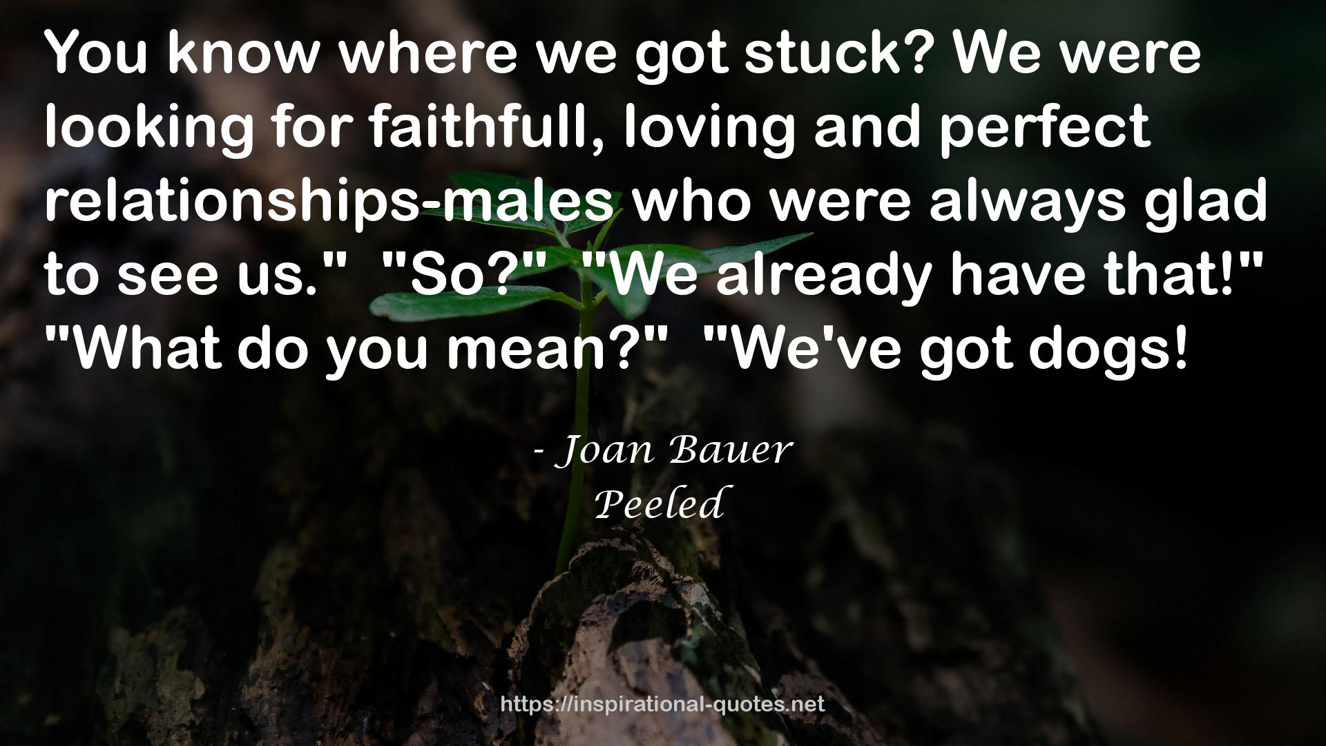 Joan Bauer QUOTES