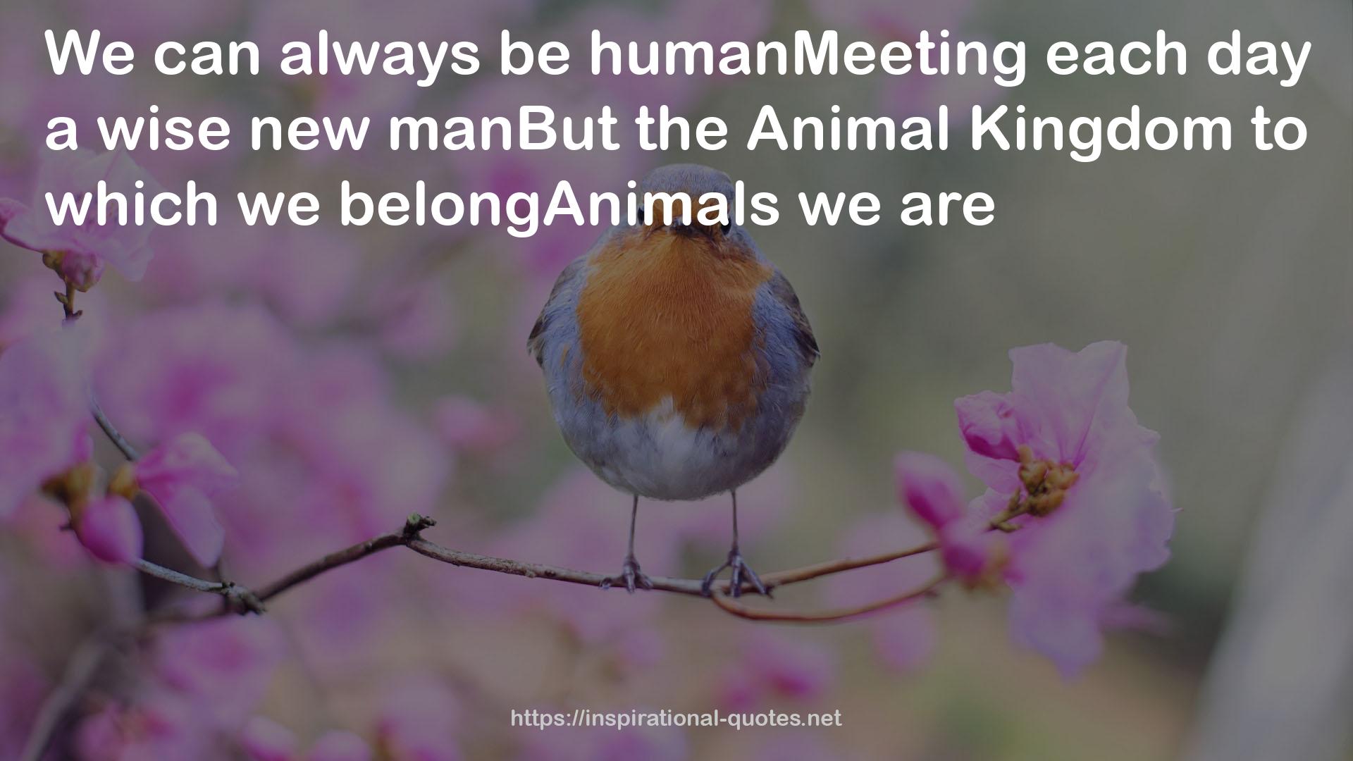 humanMeeting  QUOTES