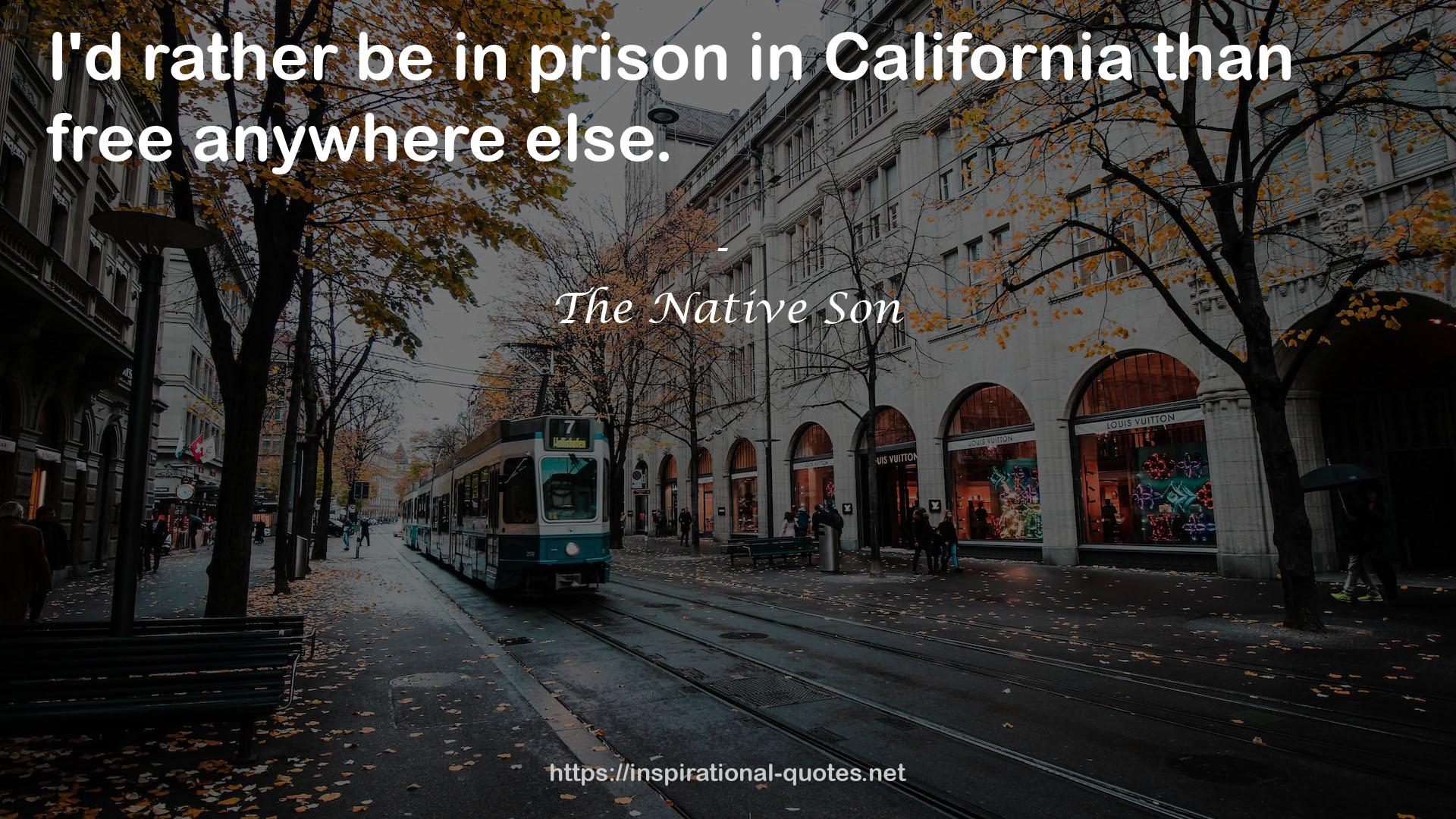The Native Son QUOTES