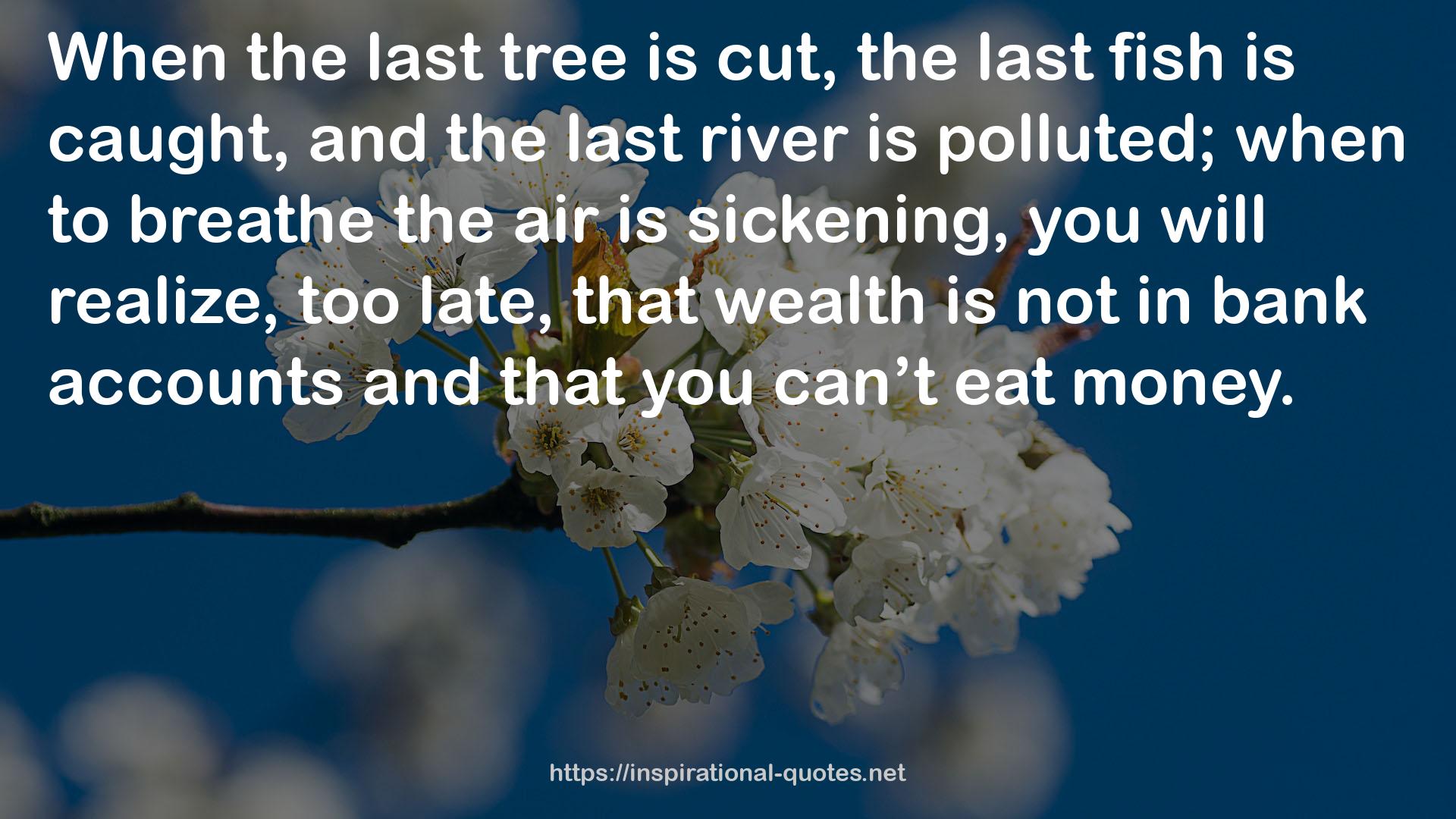 the last tree  QUOTES