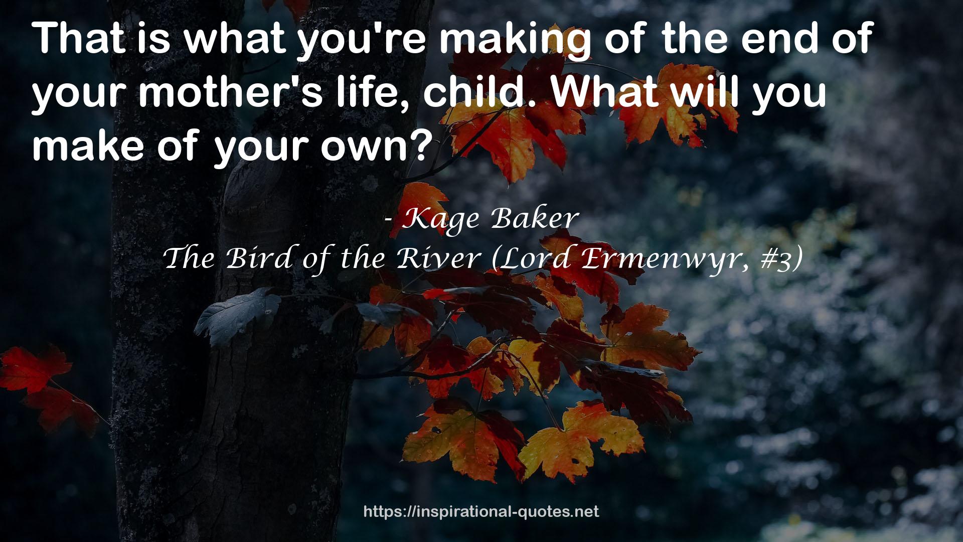 The Bird of the River (Lord Ermenwyr, #3) QUOTES