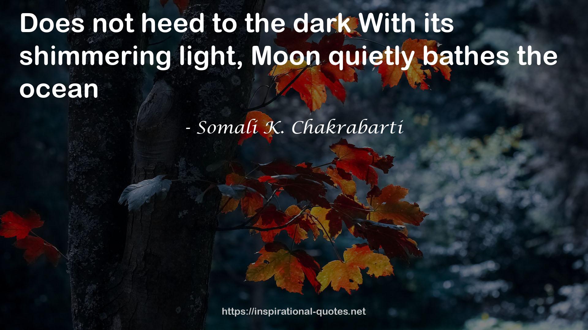 Somali K. Chakrabarti QUOTES