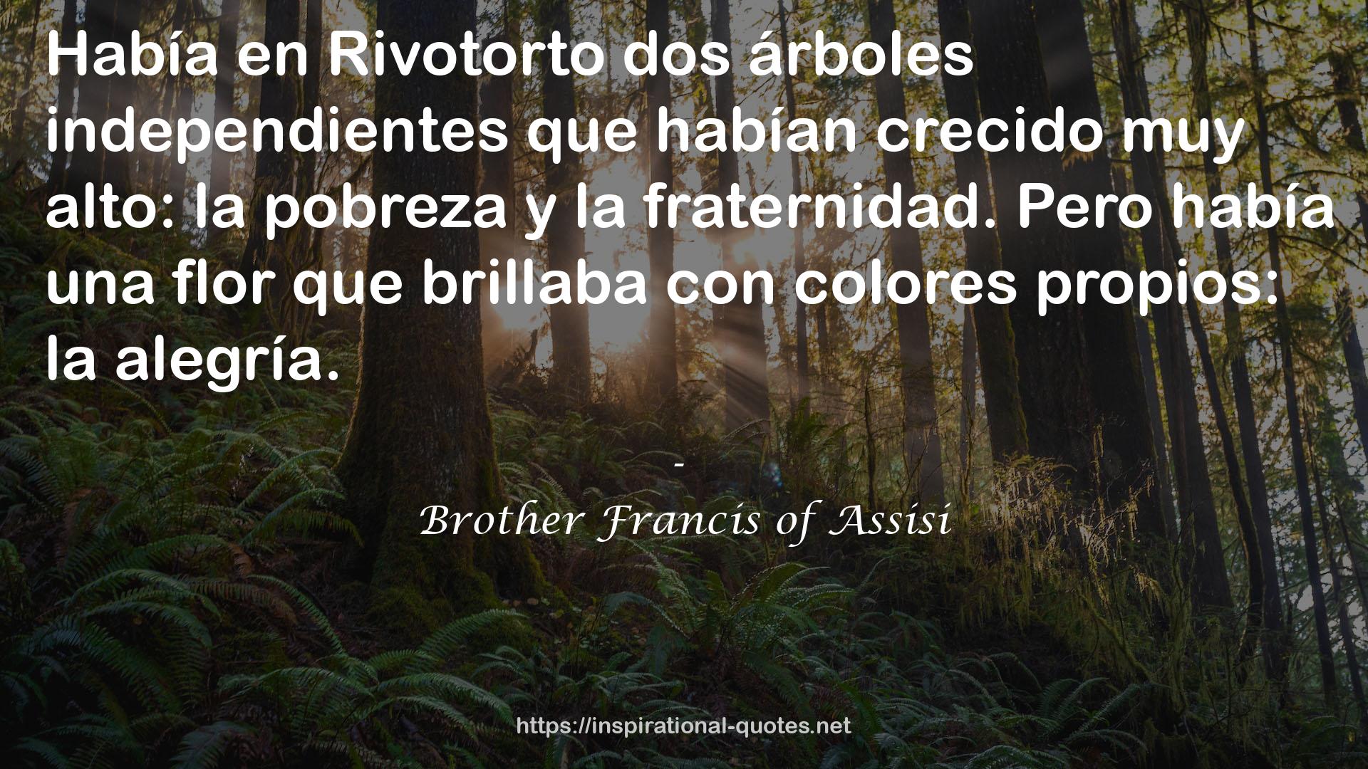 Brother Francis of Assisi QUOTES