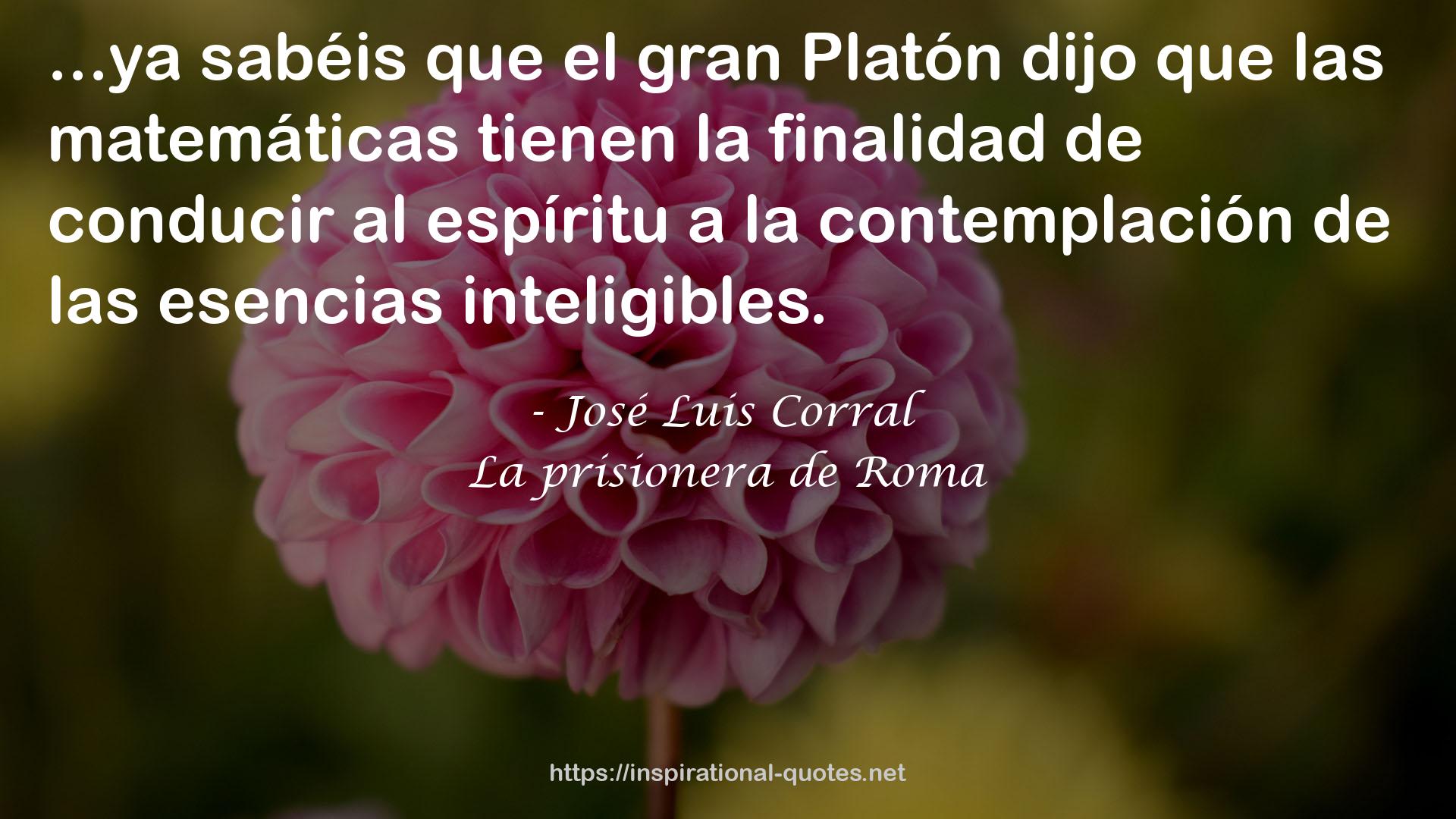 José Luis Corral QUOTES