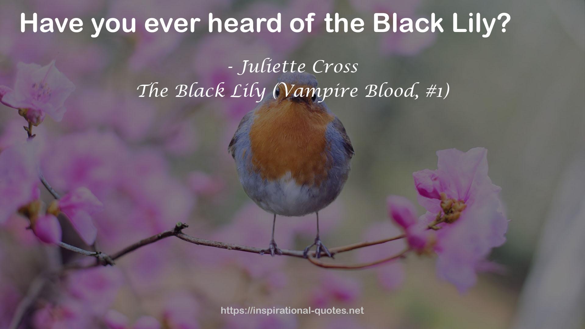 The Black Lily (Vampire Blood, #1) QUOTES