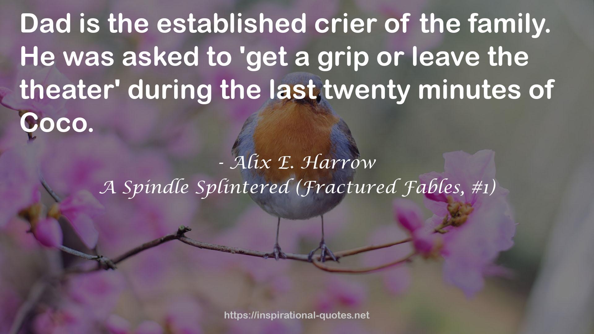 A Spindle Splintered (Fractured Fables, #1) QUOTES