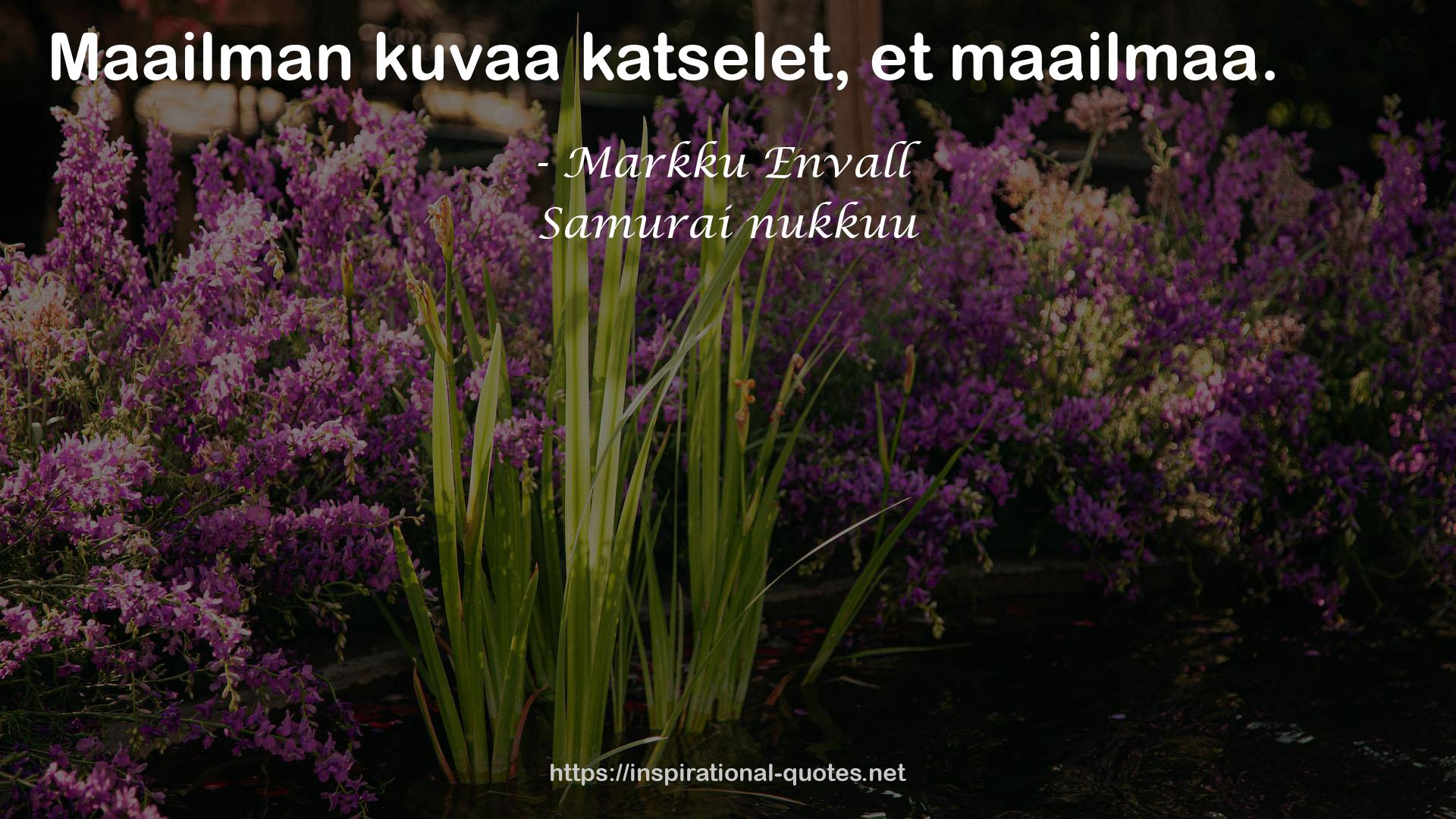 Markku Envall QUOTES