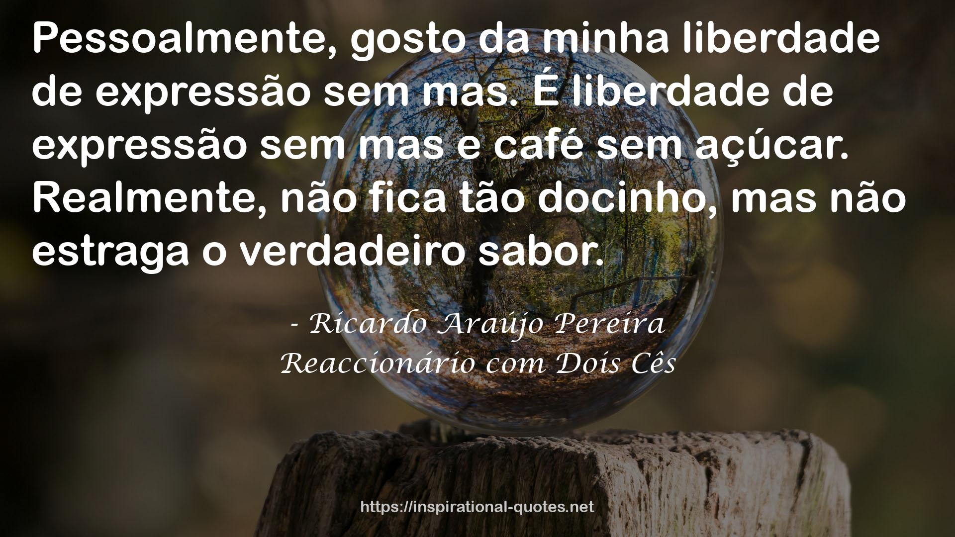 Ricardo Araújo Pereira QUOTES