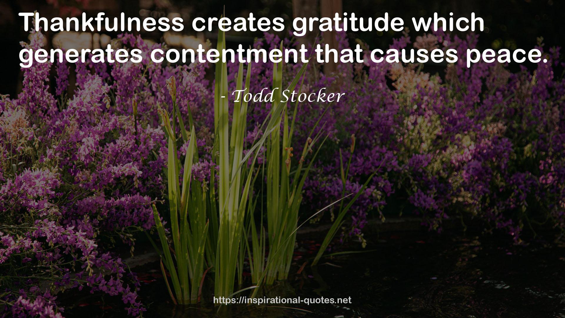 Todd Stocker QUOTES