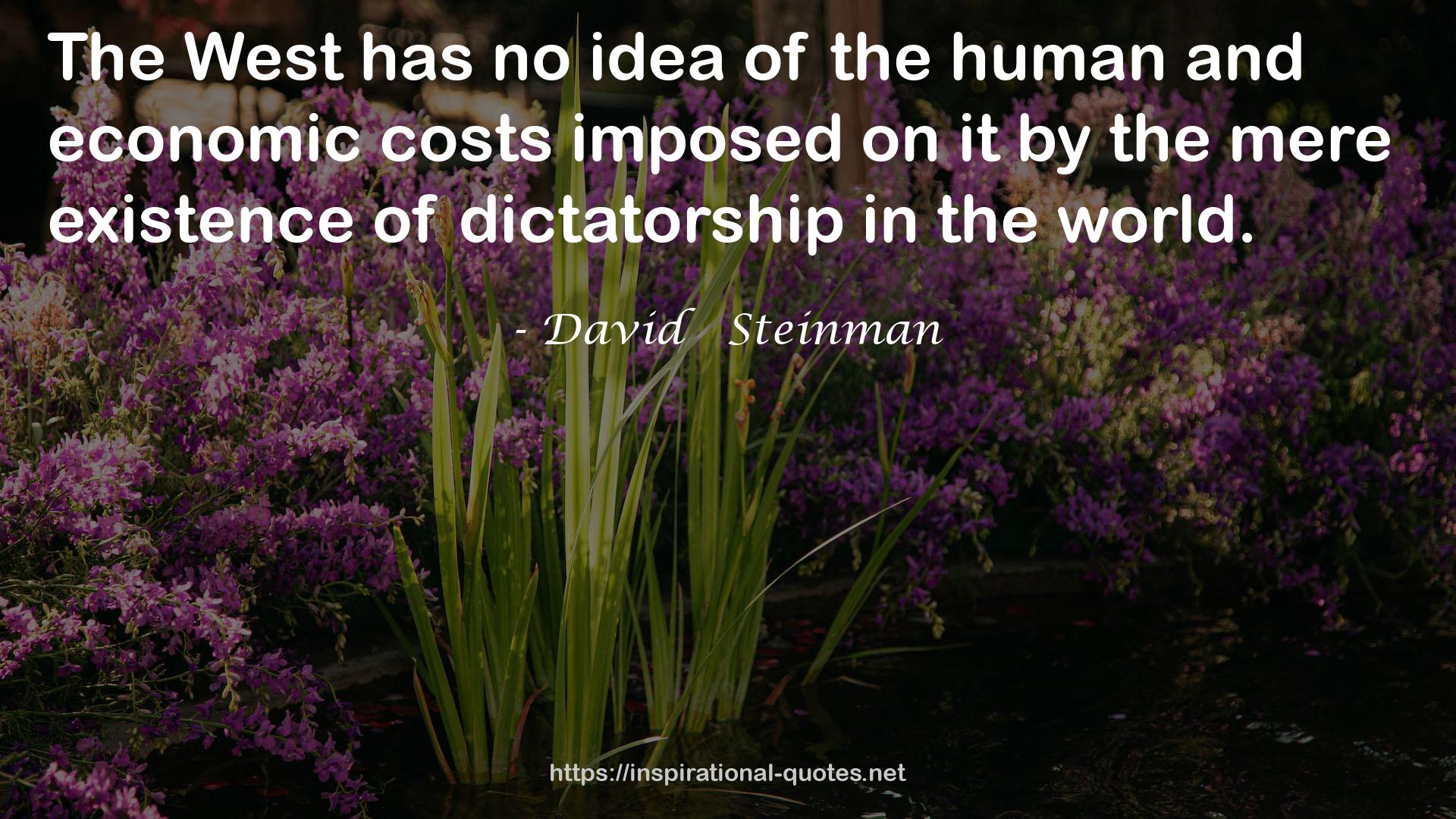 David   Steinman QUOTES