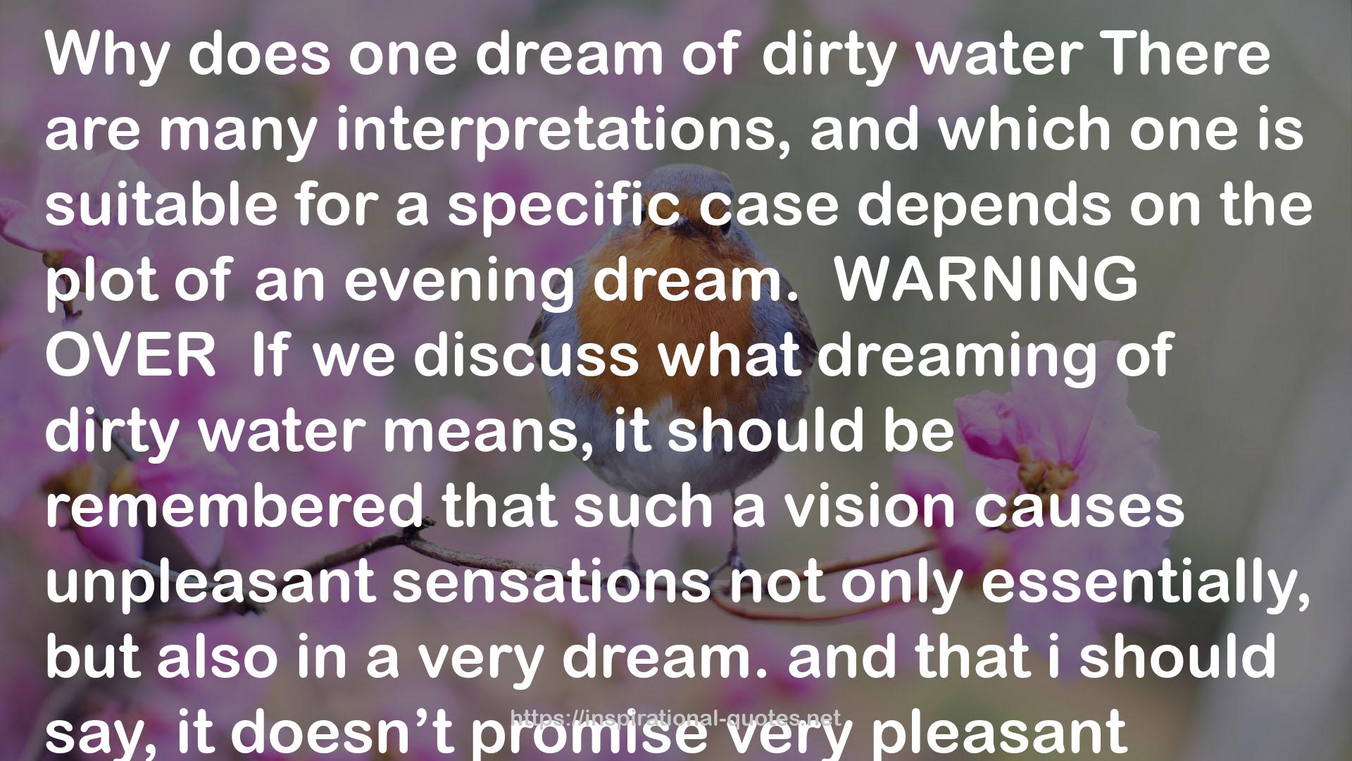 DIRTY WATER IN A DREAM QUOTES