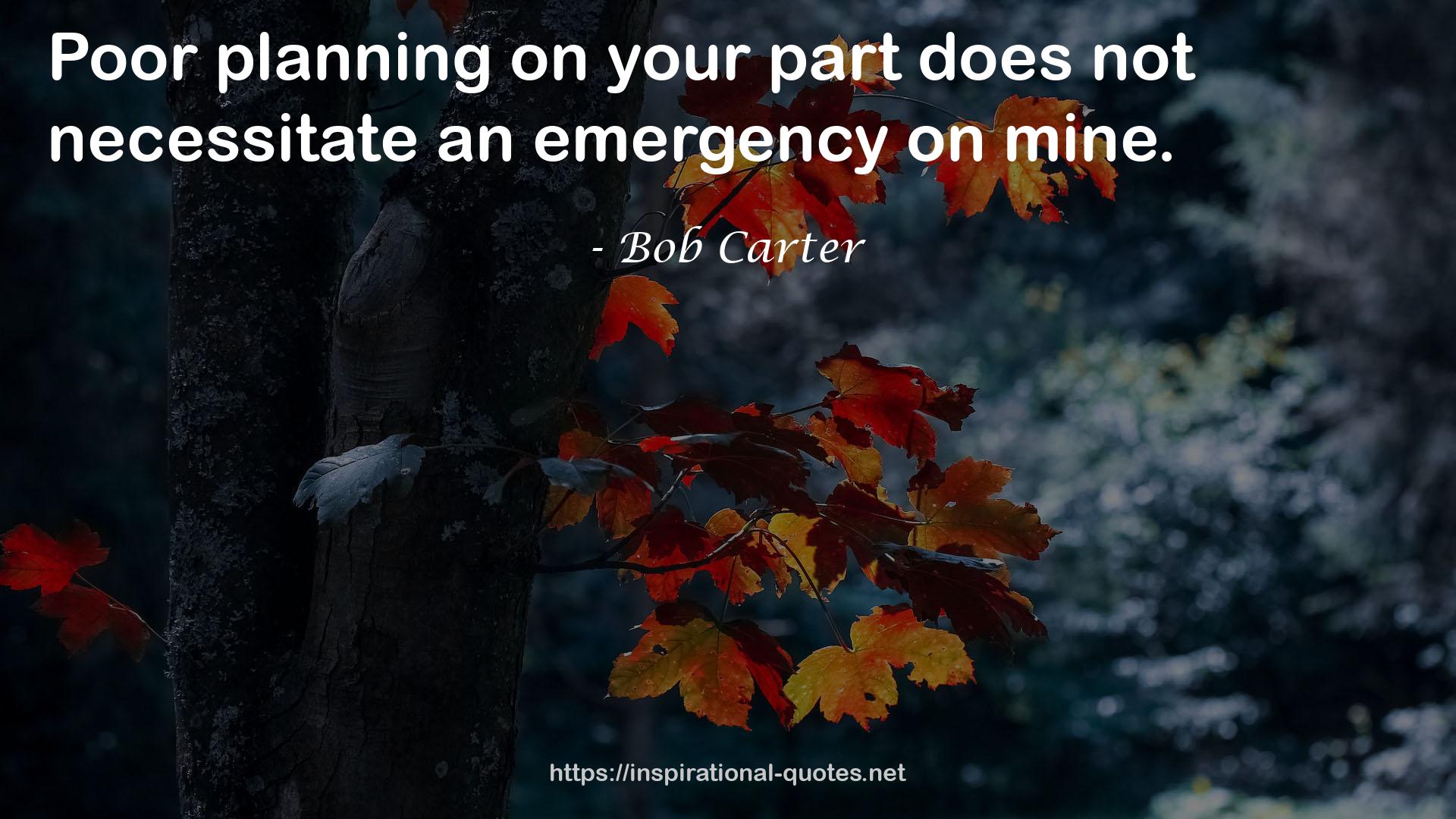 Bob Carter QUOTES