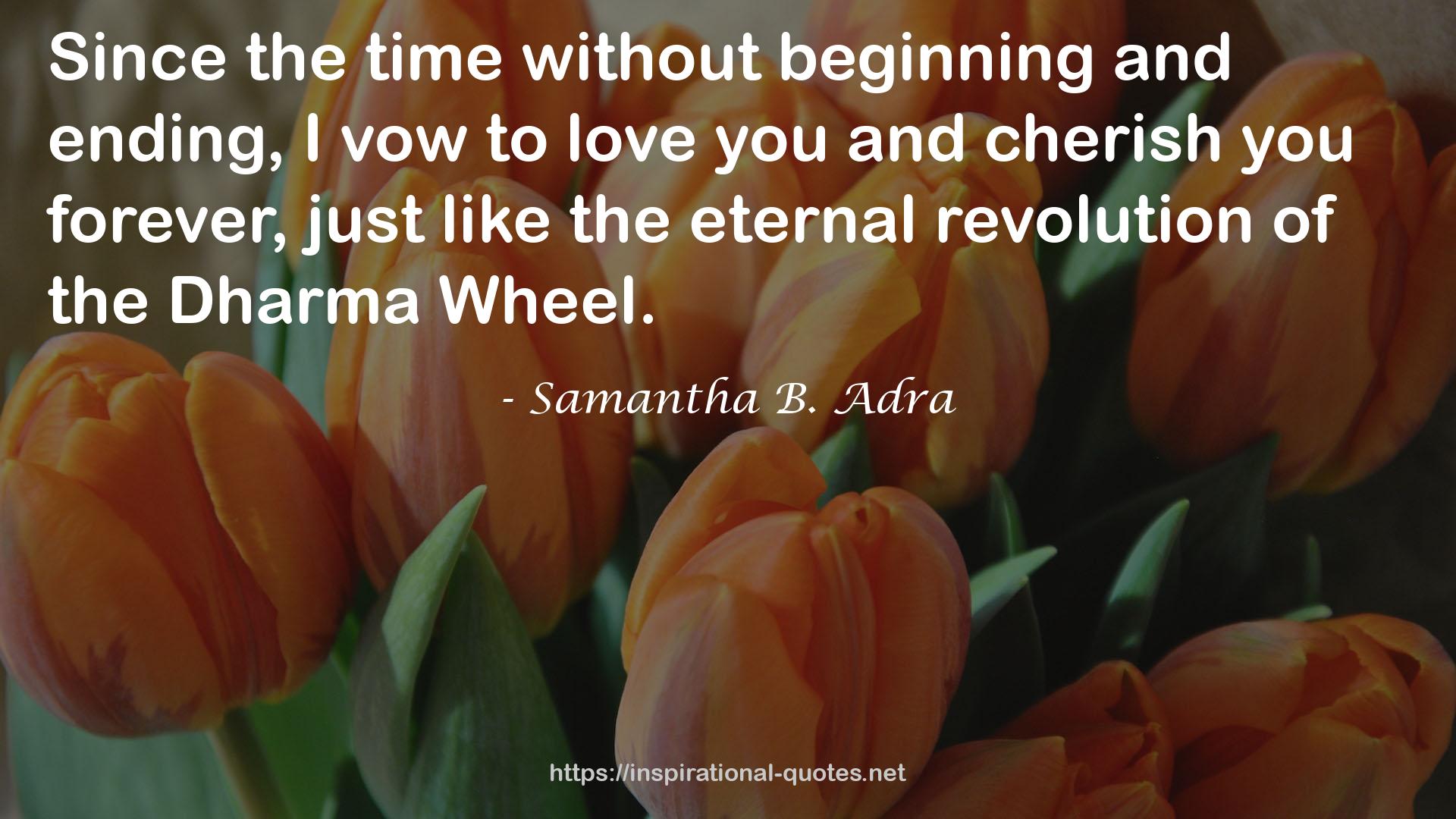 Samantha B. Adra QUOTES