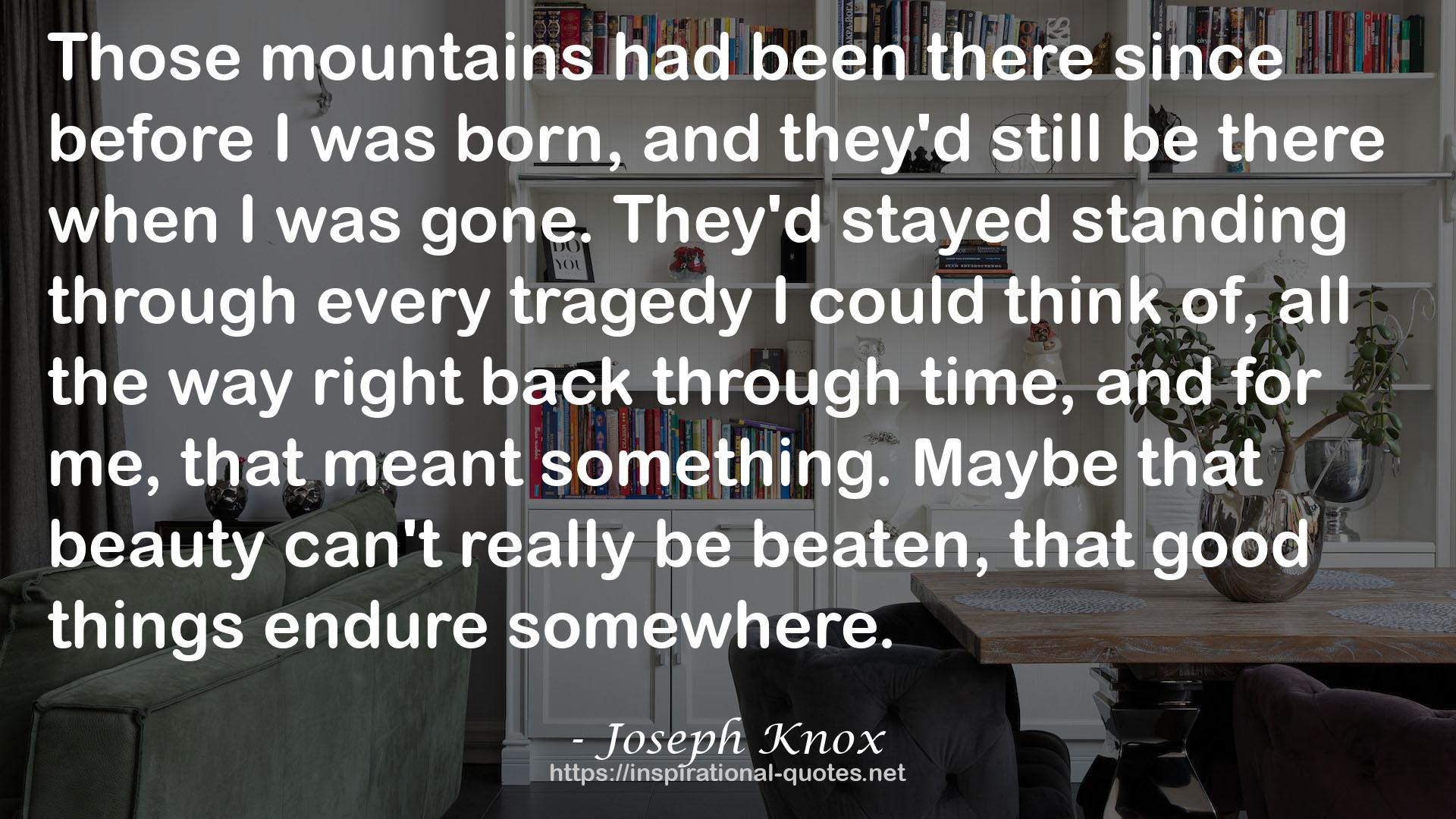 Joseph Knox QUOTES