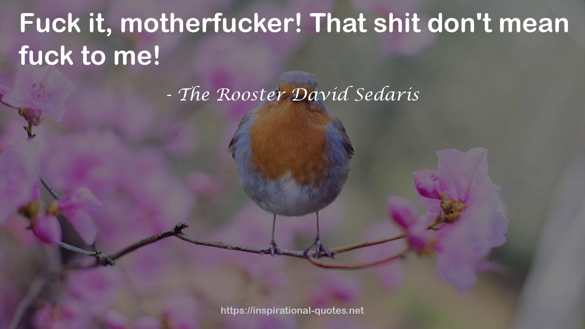 The Rooster David Sedaris QUOTES