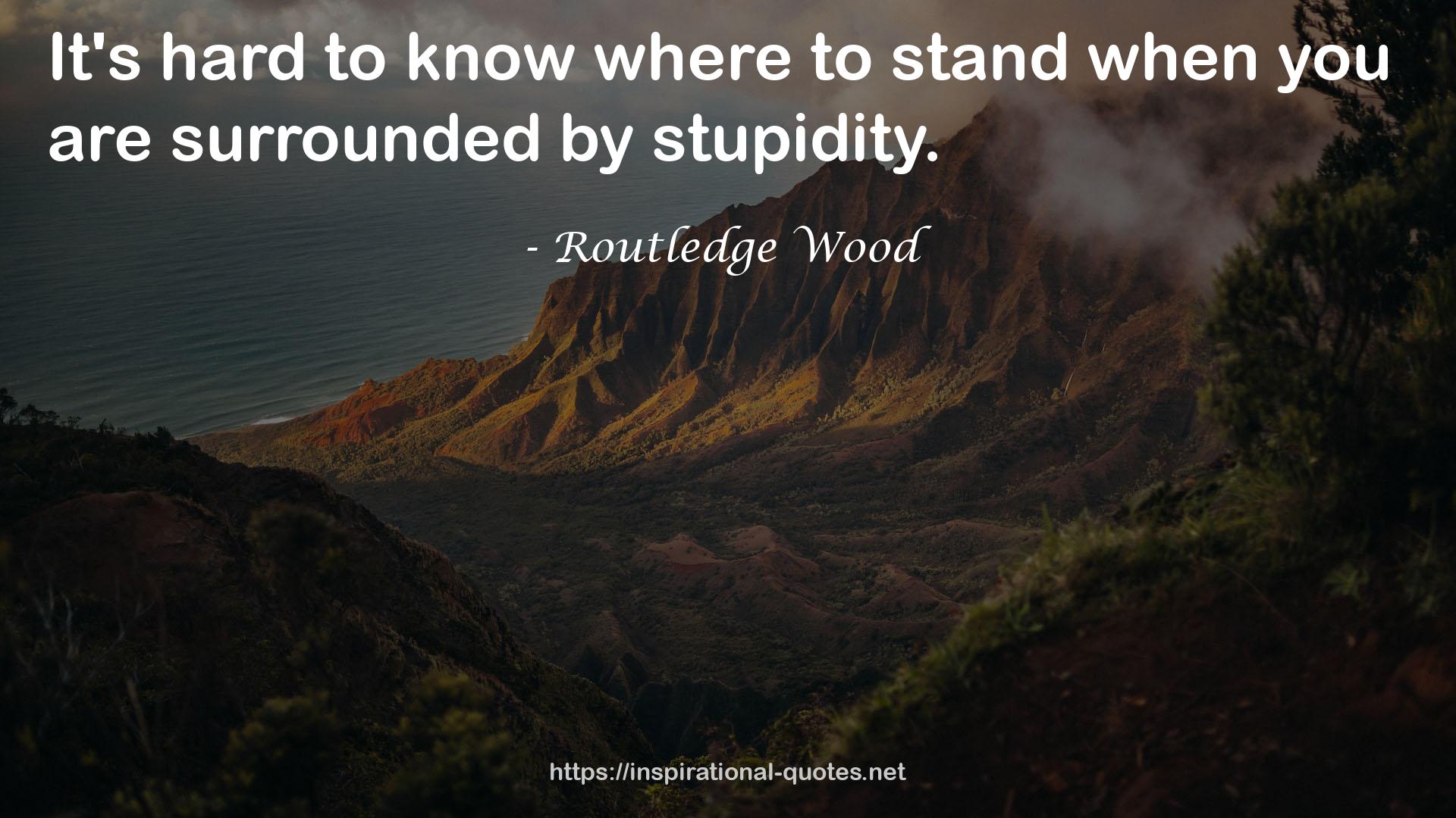 Routledge Wood QUOTES