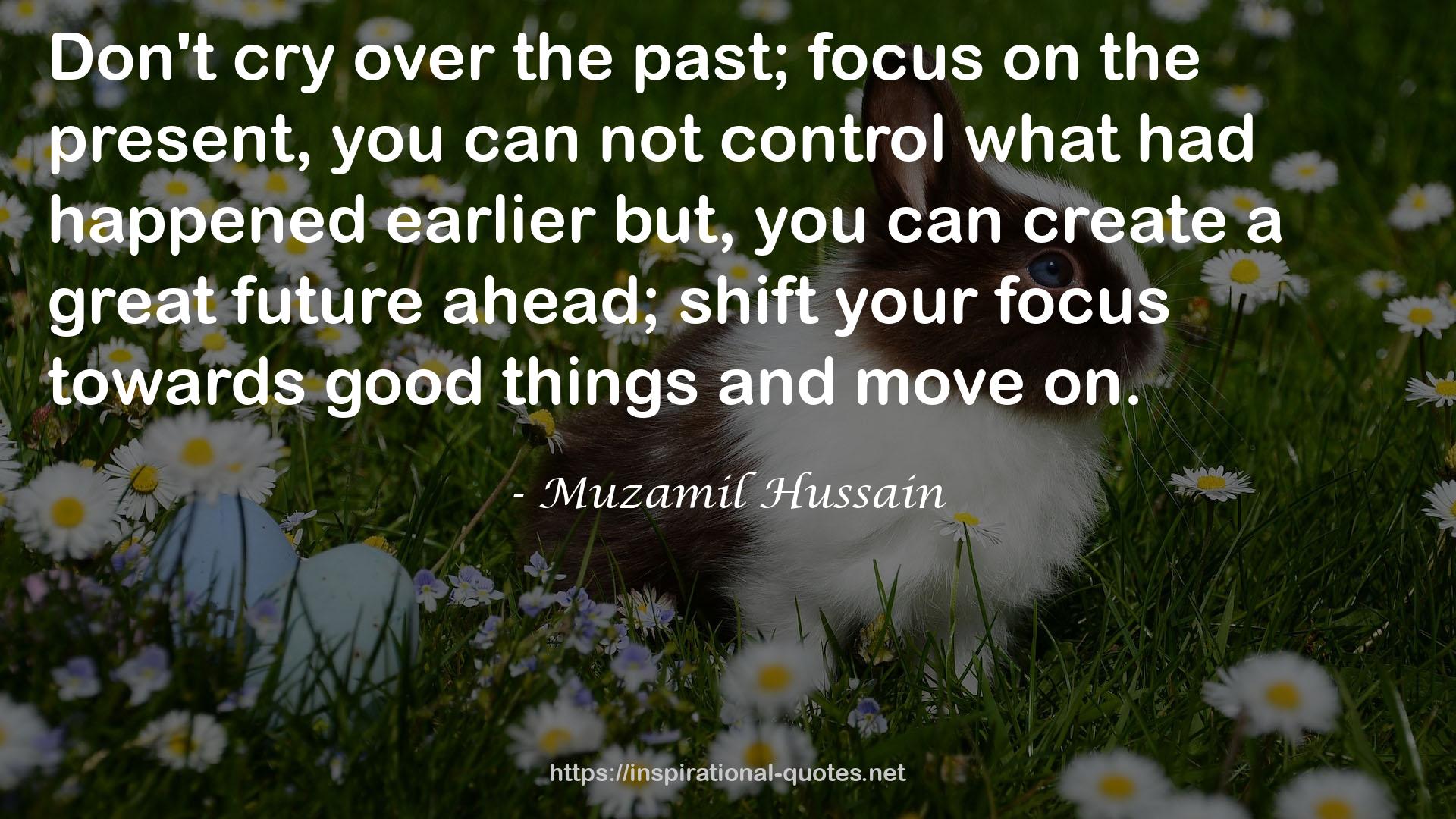 Muzamil Hussain QUOTES