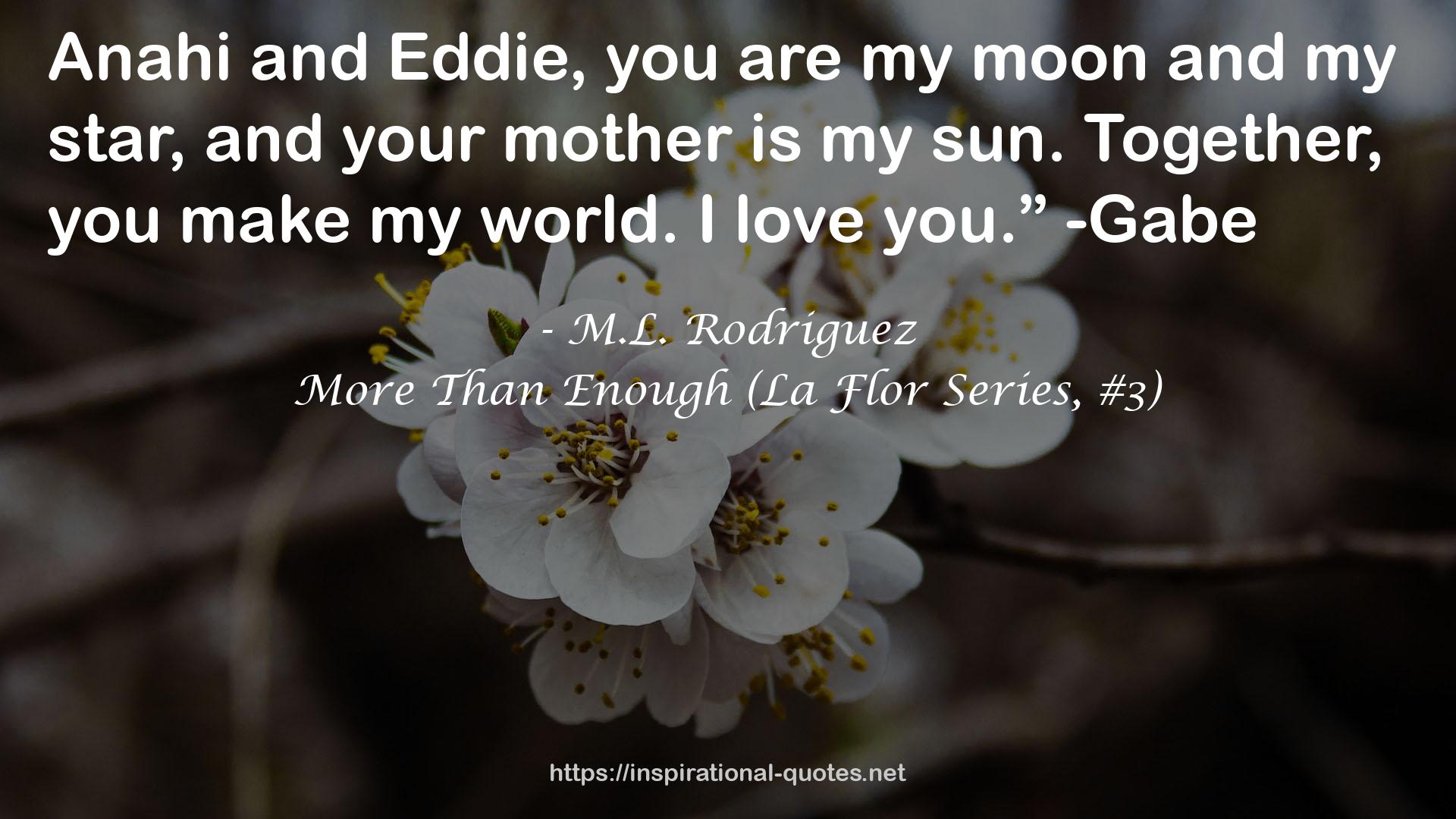 More Than Enough (La Flor Series, #3) QUOTES