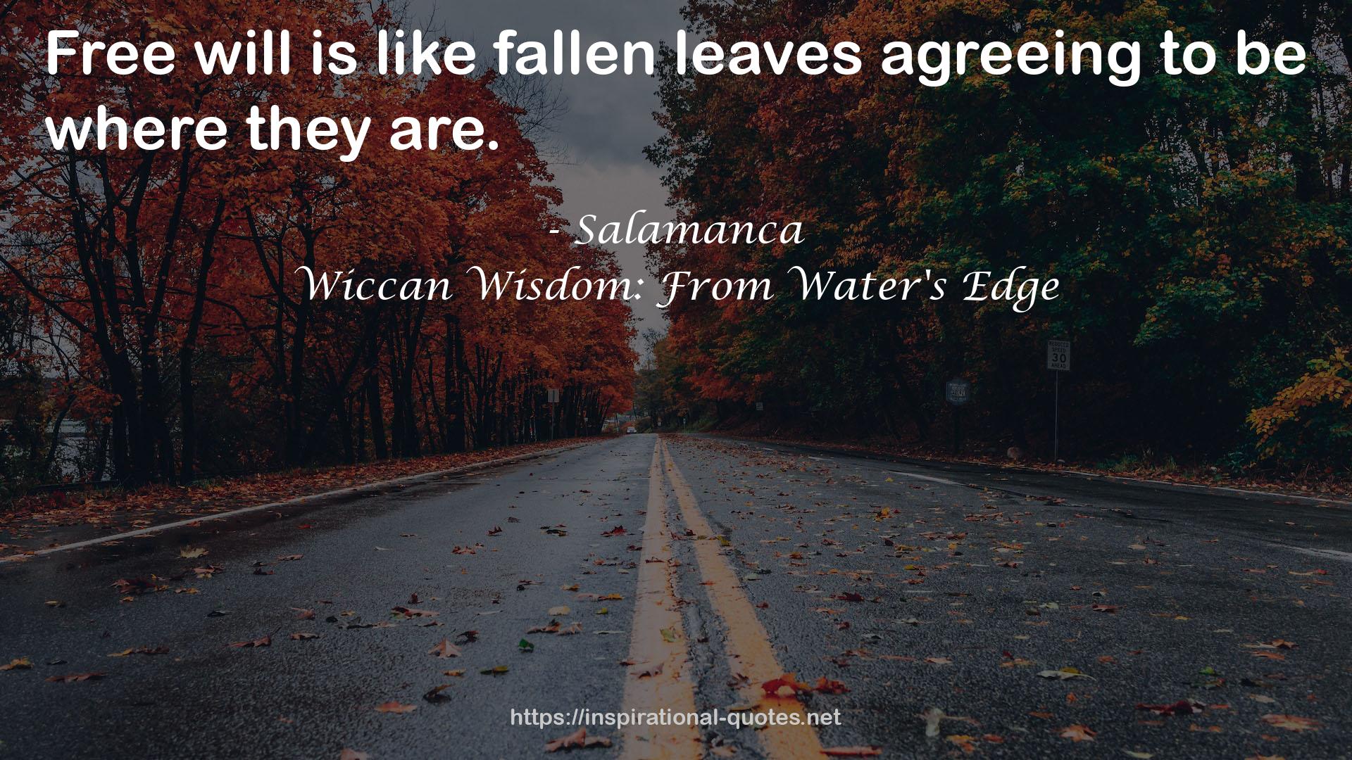 Wiccan Wisdom: From Water's Edge QUOTES