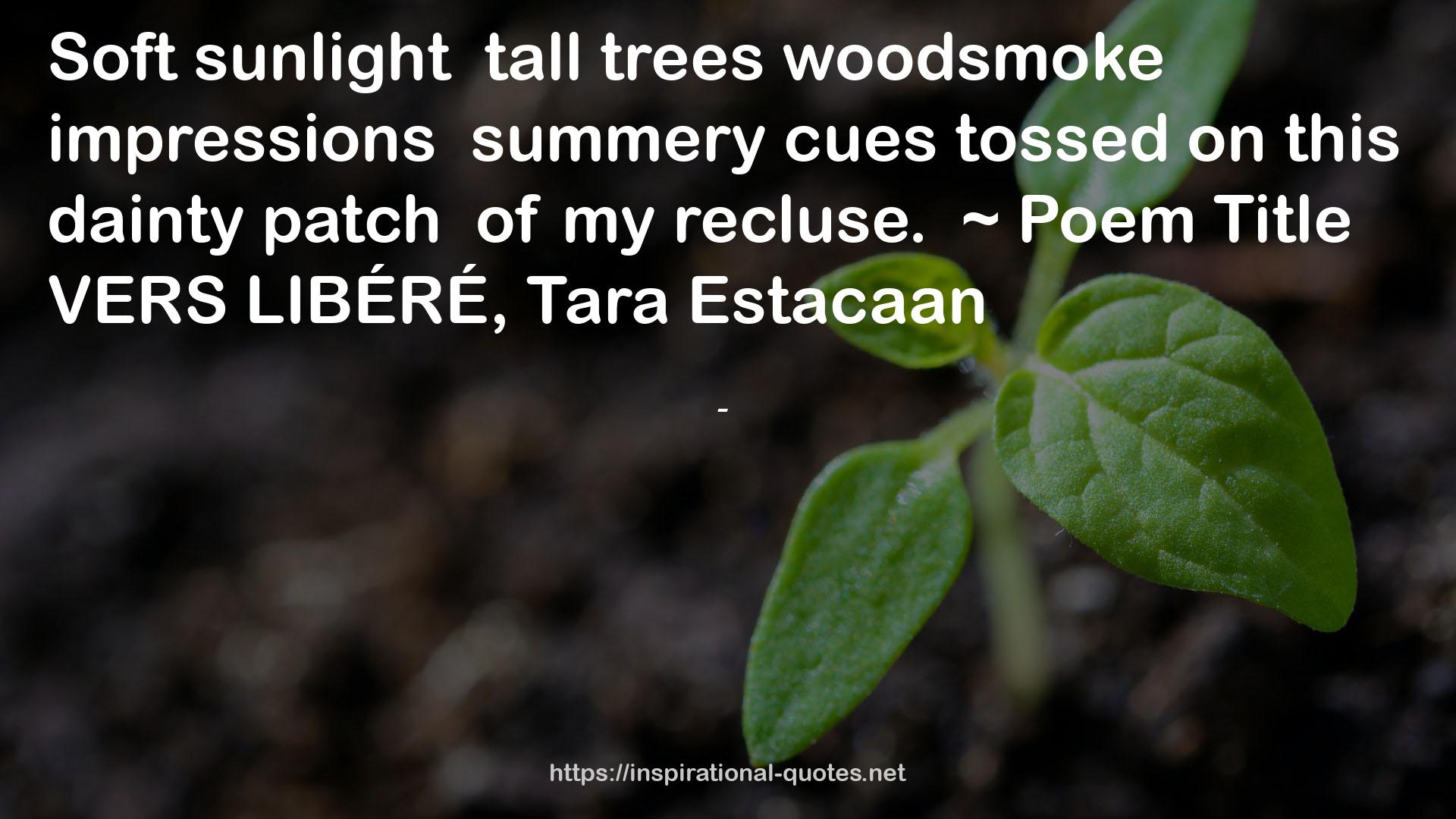 treeswoodsmoke  QUOTES